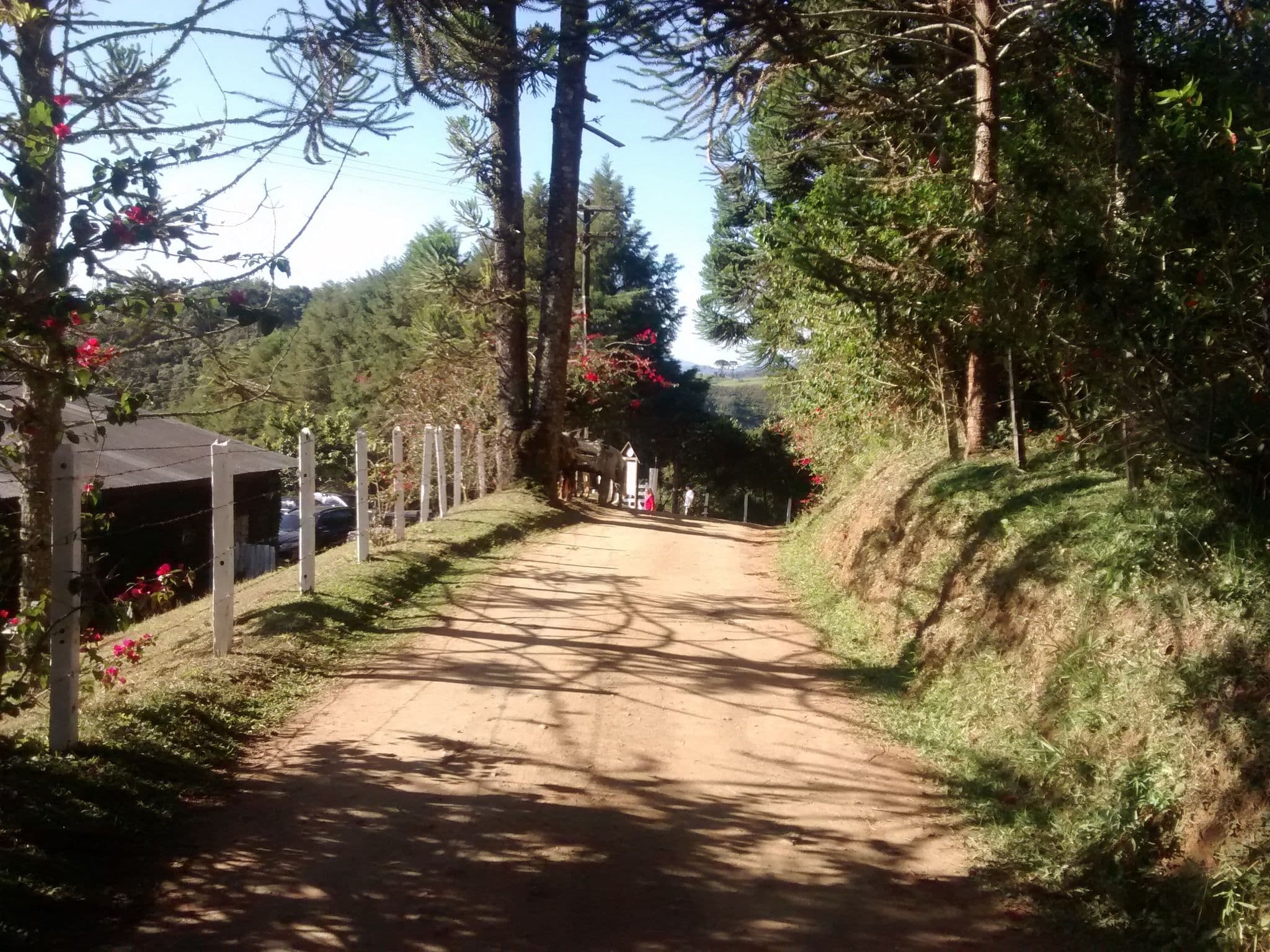 Street view near A Casa da Fazenda, Santo Antônio do Pinhal — © fvull (CC BY-SA · Mapillary)
