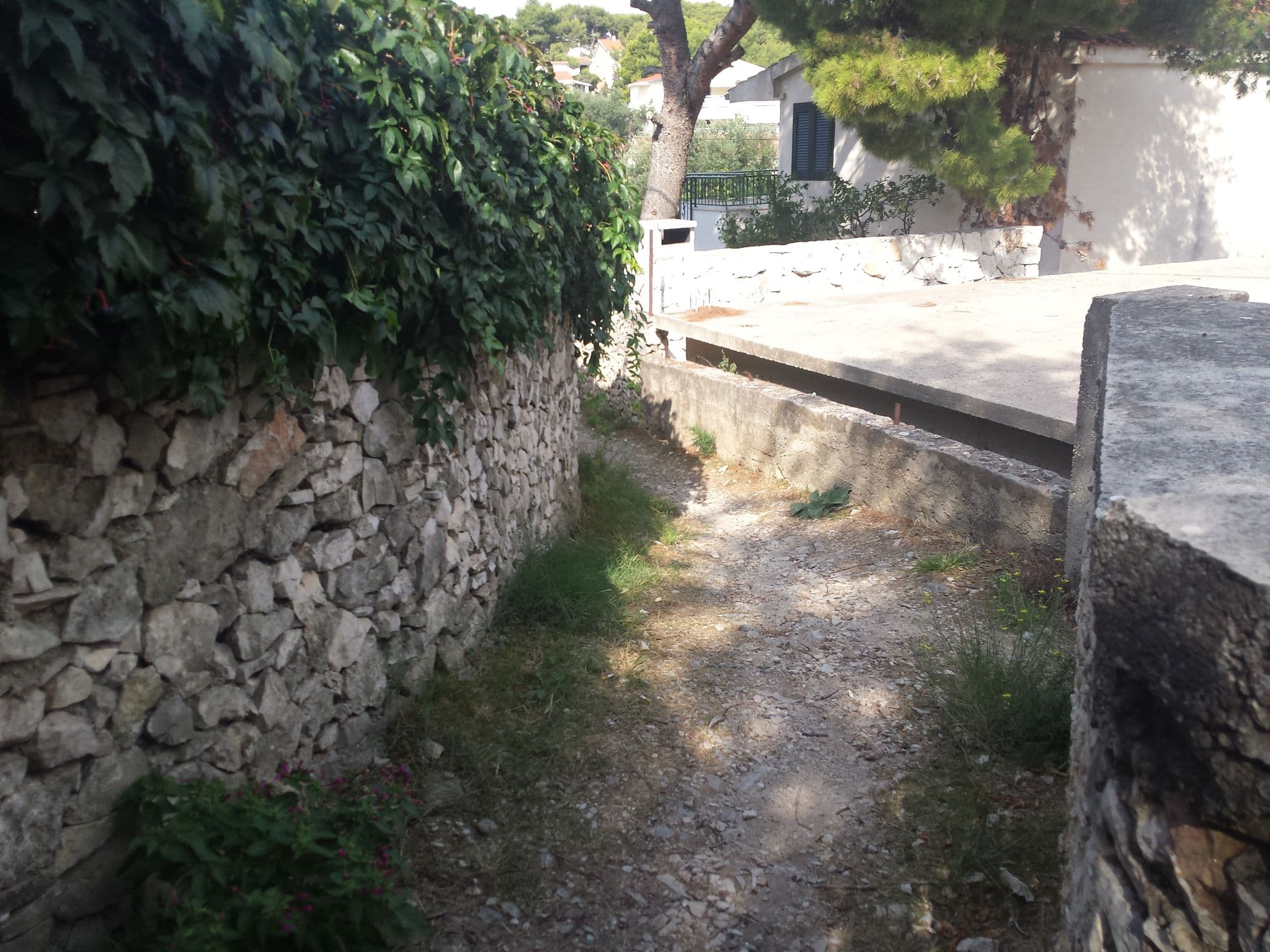 Street view near Racica, Primošten — © janjko (CC BY-SA · Mapillary)