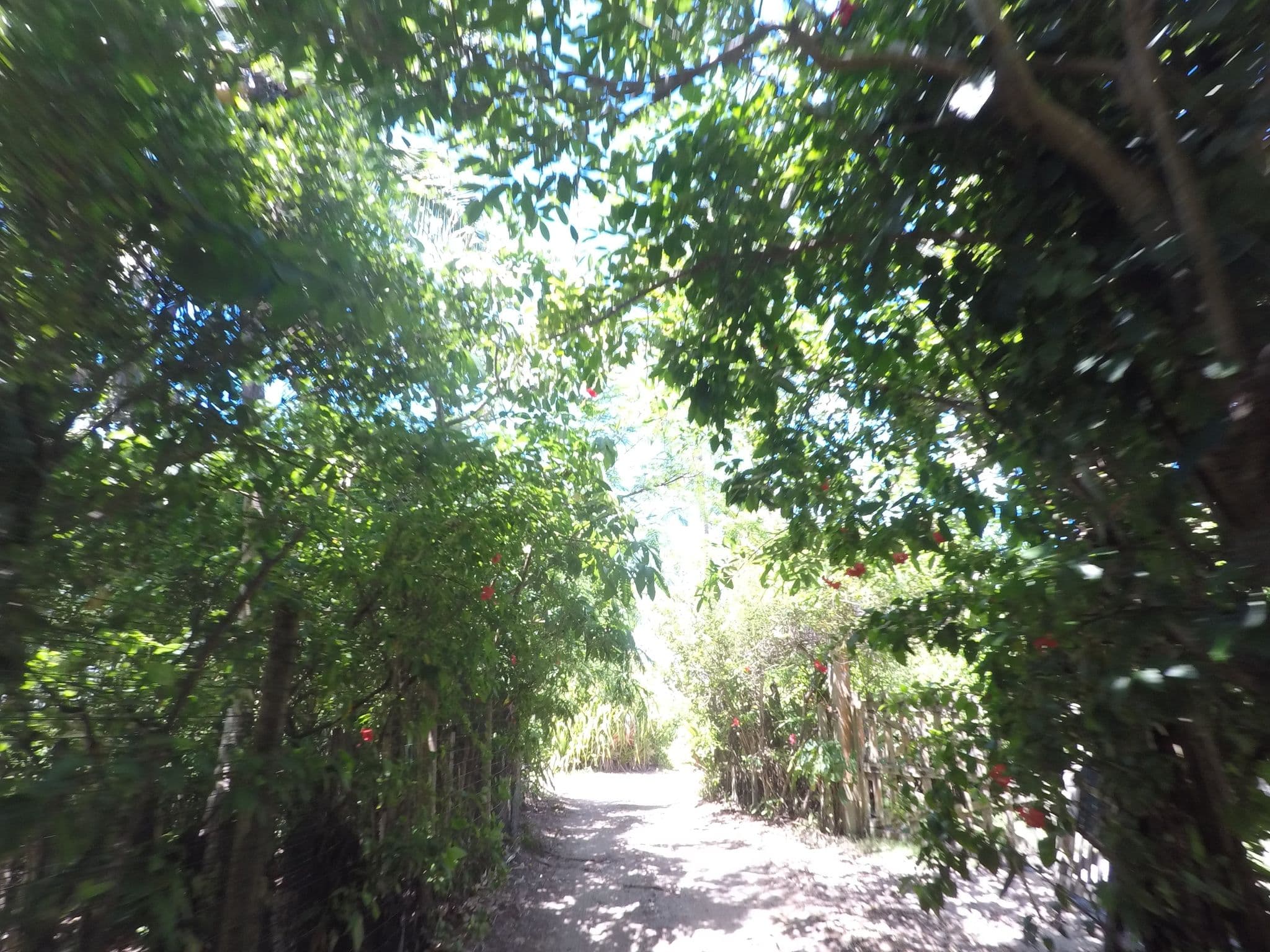 Street view near Pousada Tembwa Surfaxé, Camamu — © pablo (CC BY-SA · Mapillary)