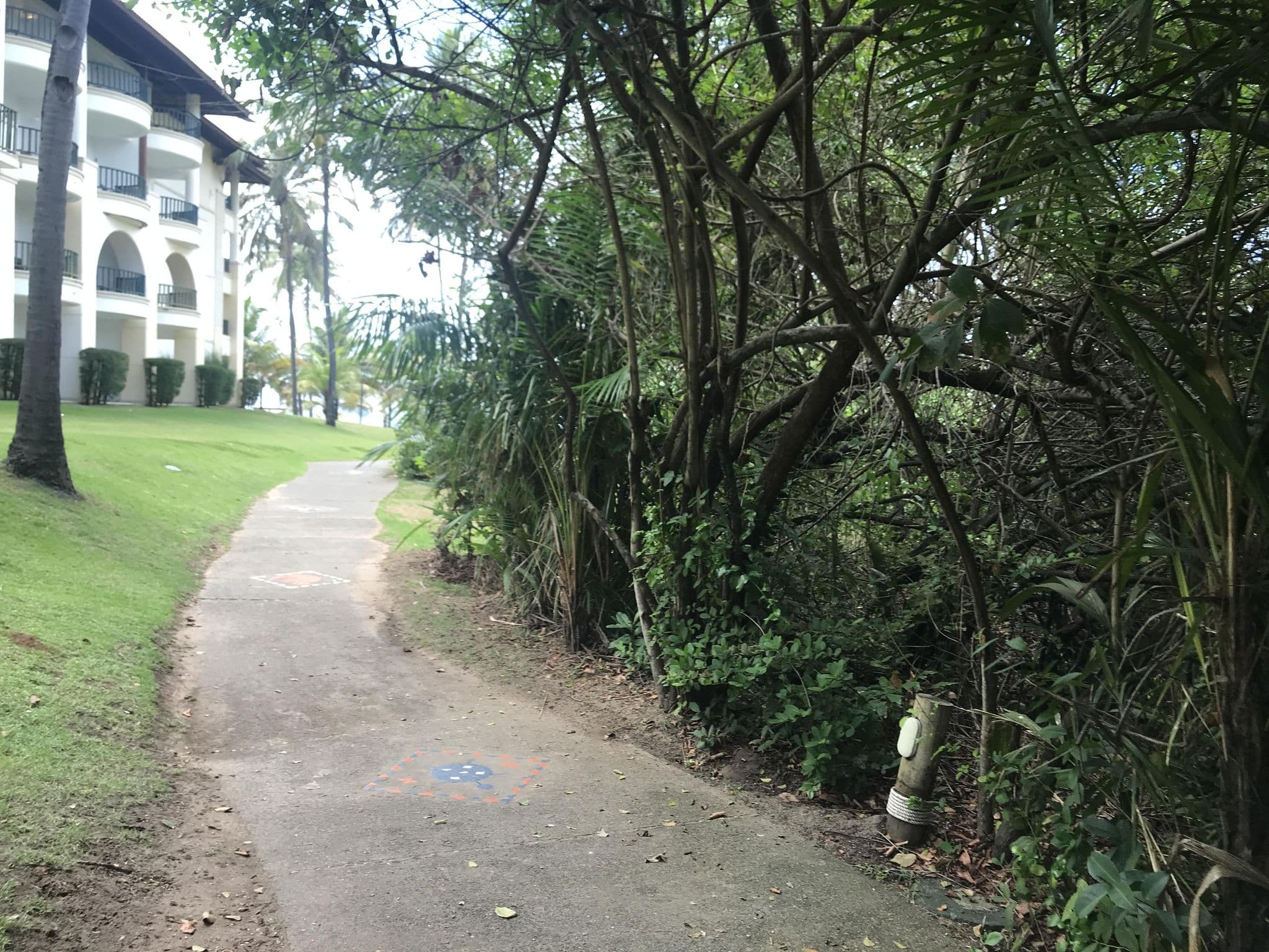 Street view near Quarto 3121 - Sauípe Park, Itanagra — © wesleygmartins (CC BY-SA · Mapillary)
