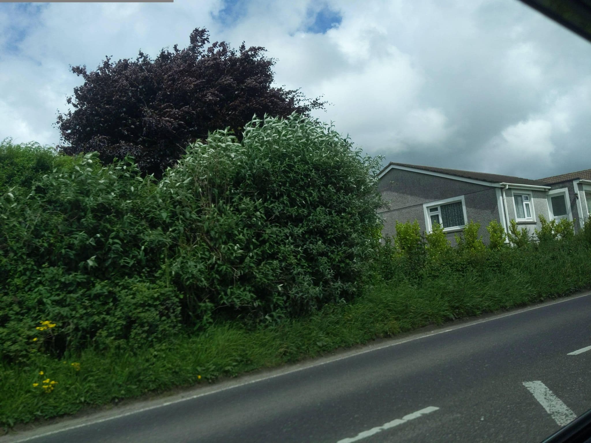 Street view near Flintways, Newquay — © WaggyDog (CC BY-SA · Mapillary)