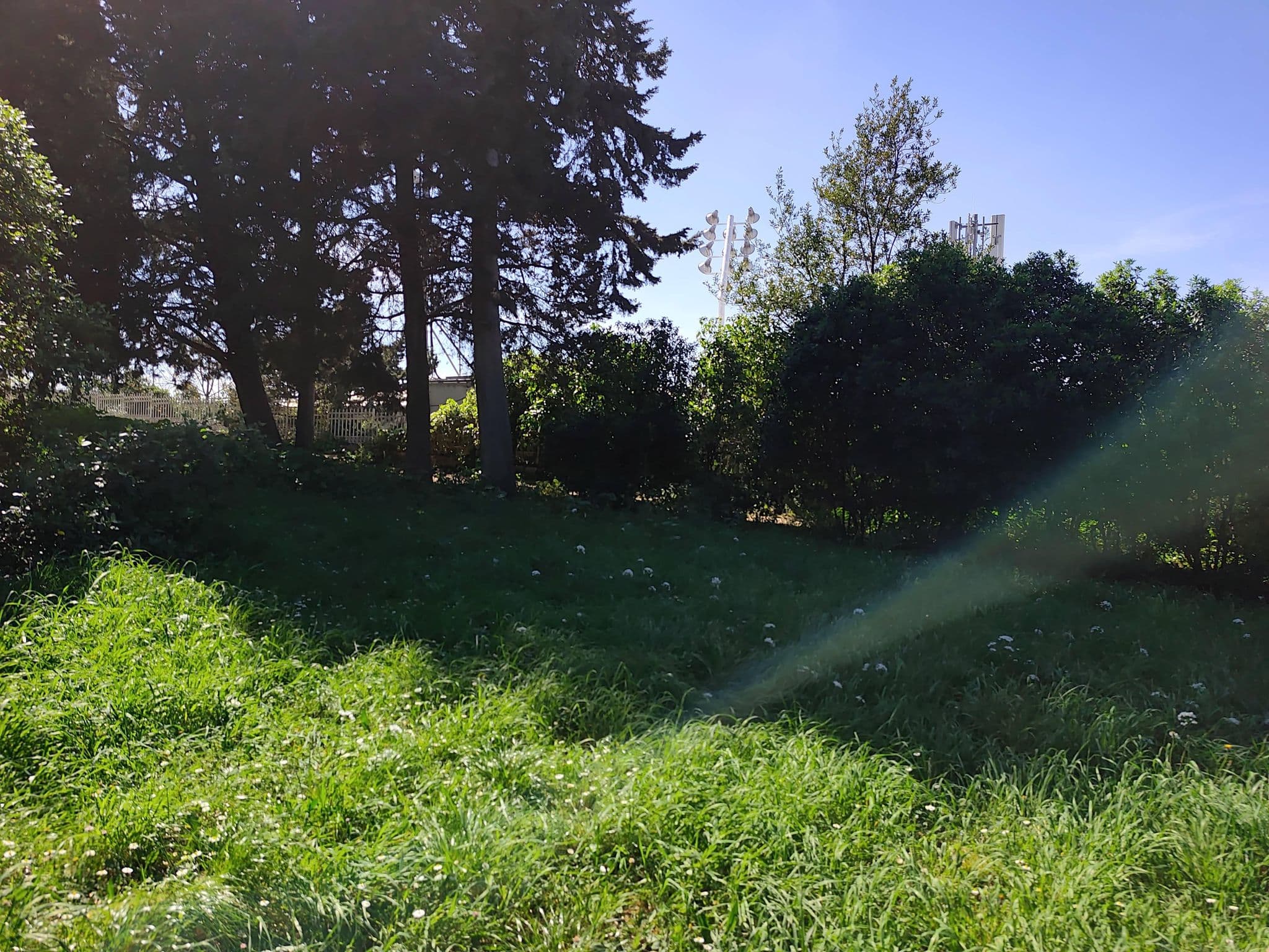 Street view near Hotel Sustipan, Split — © Duro (CC BY-SA · Mapillary)