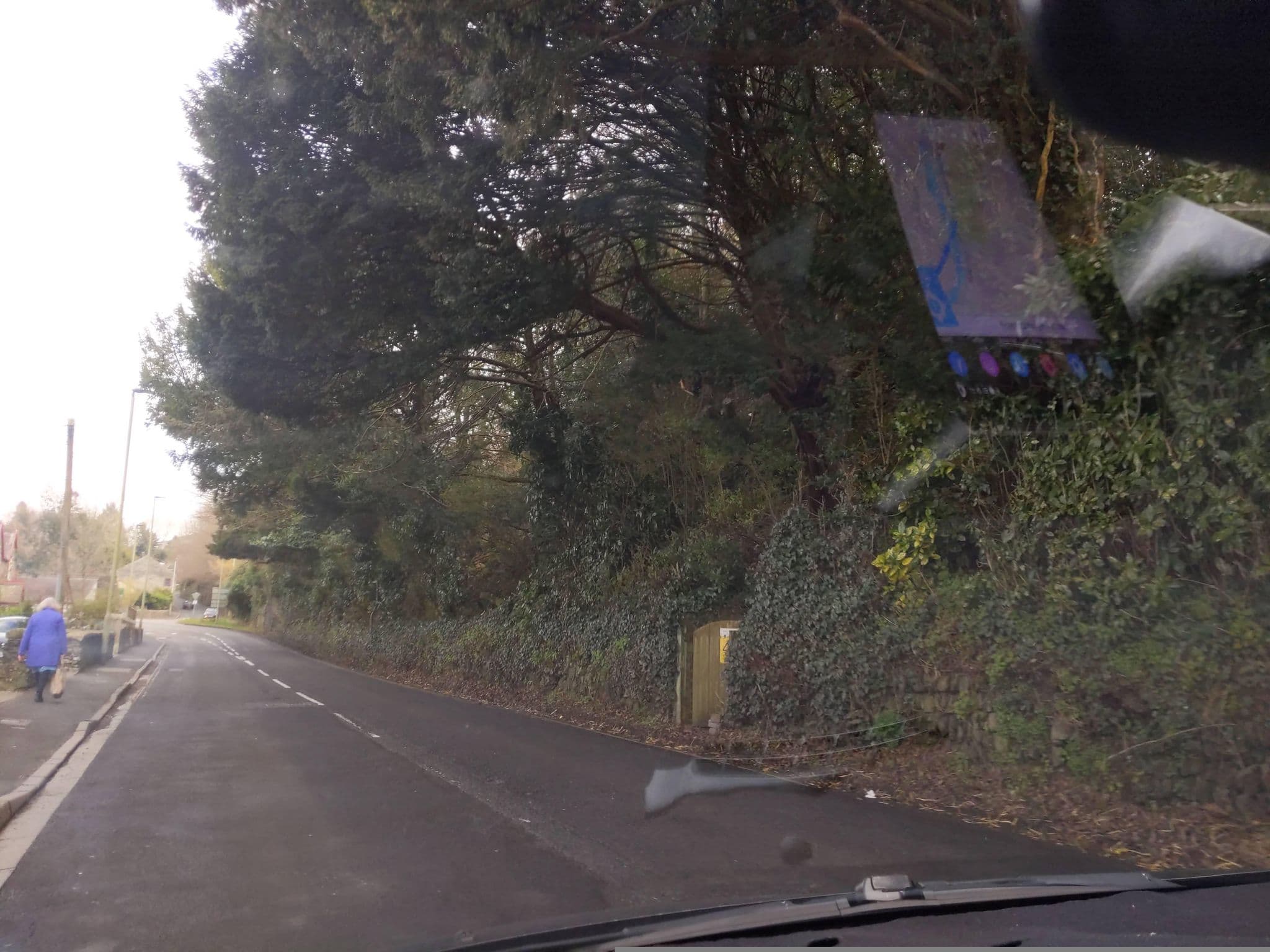 Street view near April Cottage, Tavistock — © WaggyDog (CC BY-SA · Mapillary)