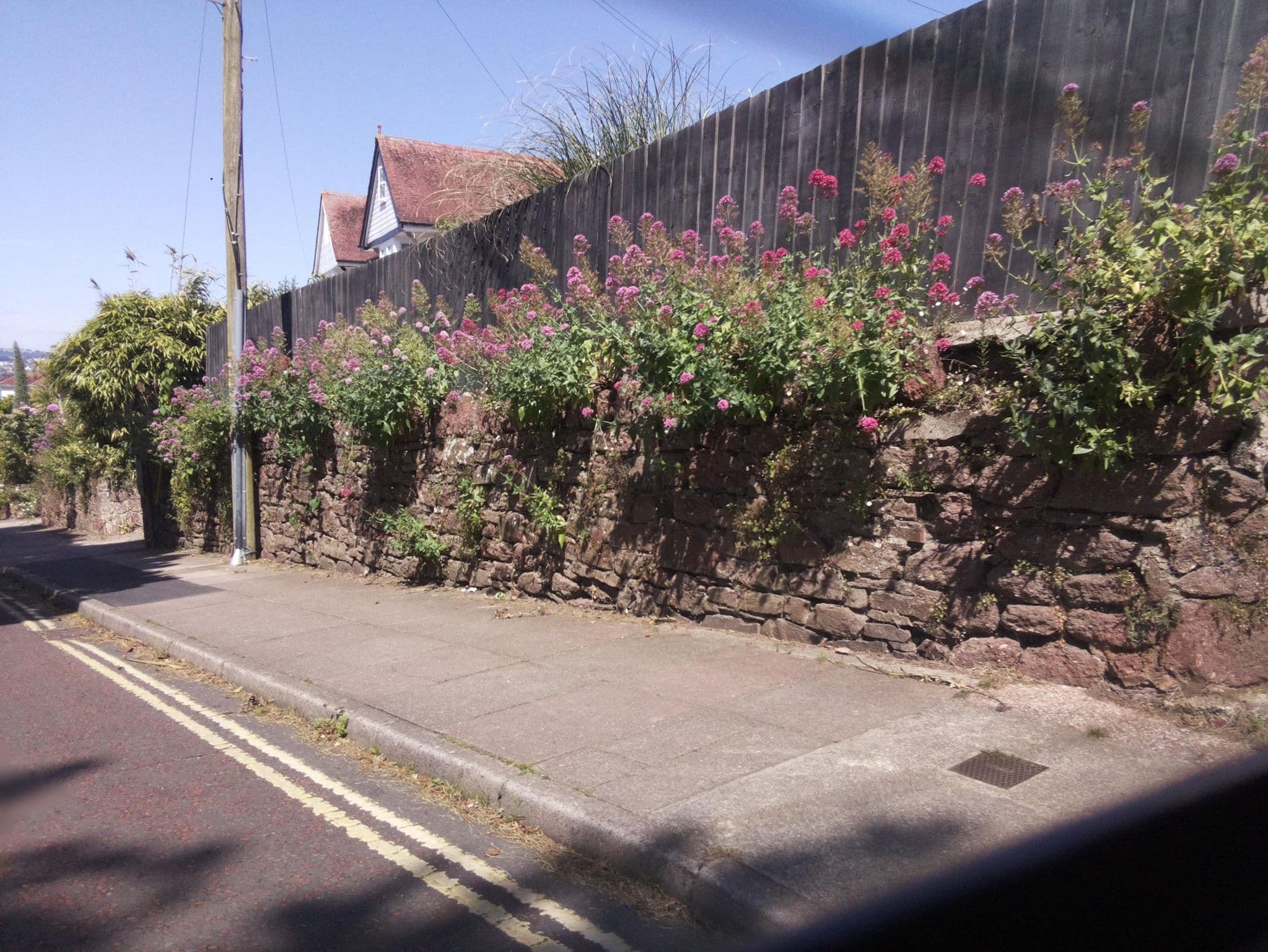Street view near San Brelade, Paignton — © southglos (CC BY-SA · Mapillary)