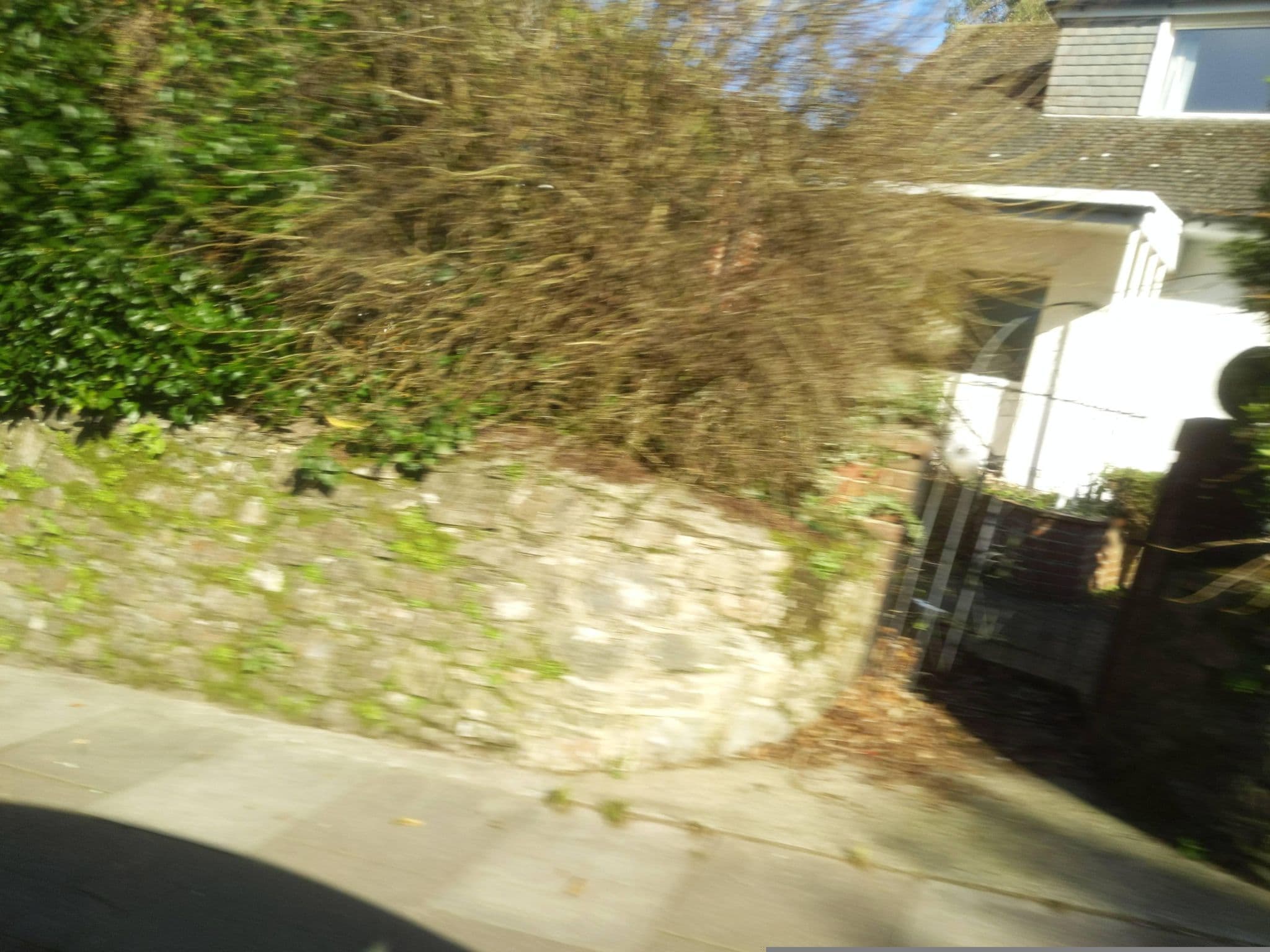 Street view near Powis Hotels, Torquay — © WaggyDog (CC BY-SA · Mapillary)