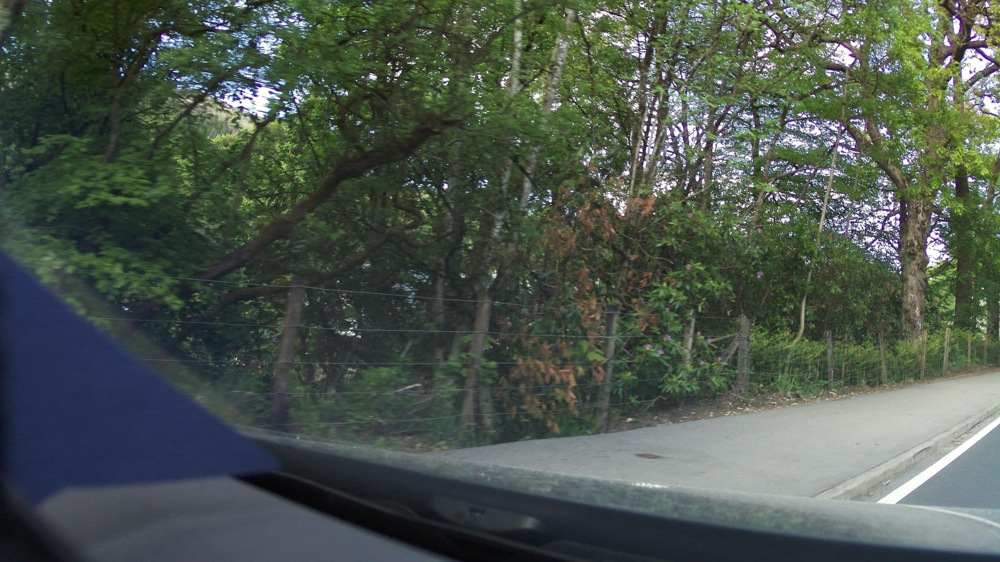 Street view near Old Jocks Cottage, Garelochhead — © southglos (CC BY-SA · Mapillary)