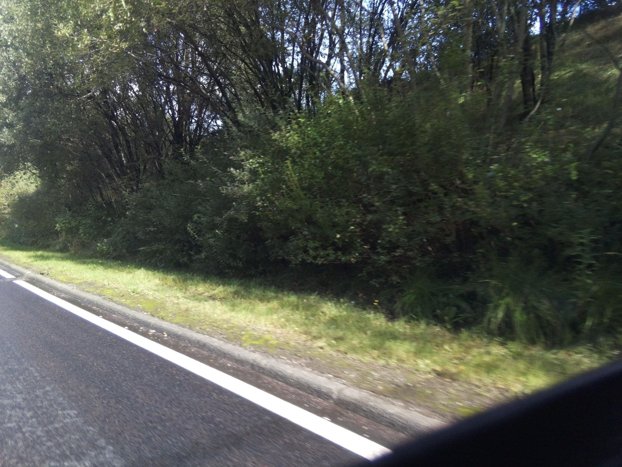 Street view near The Lodge House, Callander — © southglos (CC BY-SA · Mapillary)
