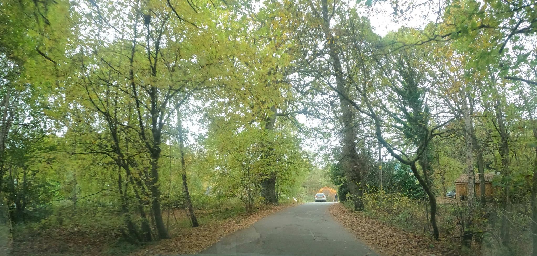 Street view near The Observatory, Pitlochry — © hobgoblin (CC BY-SA · Mapillary)