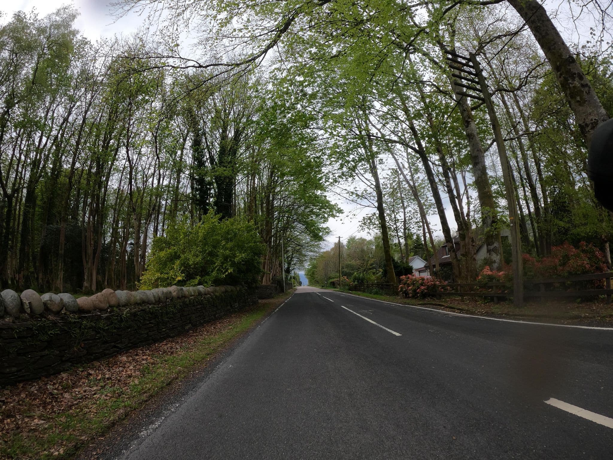 Street view near Alltshellach Cottages, The Old Stables, Fort William — © plexi32 (CC BY-SA · Mapillary)
