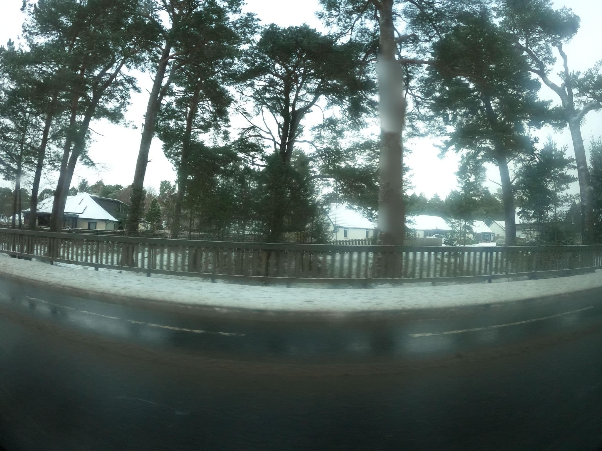 Street view near Dellmhor no3, Aviemore — © hobgoblin (CC BY-SA · Mapillary)