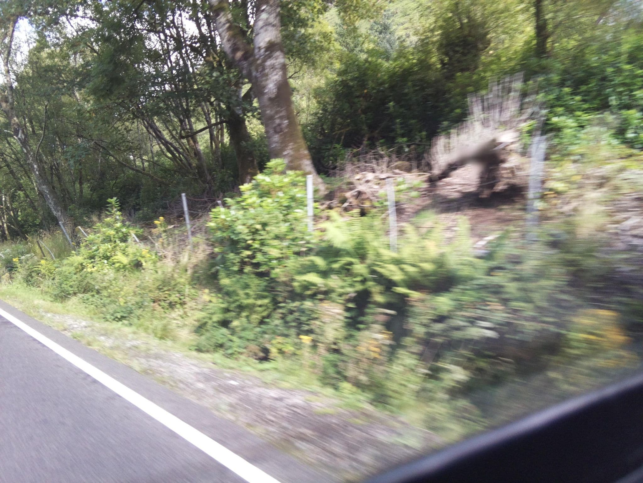 Street view near The Heathers B&B, Caol — © southglos (CC BY-SA · Mapillary)