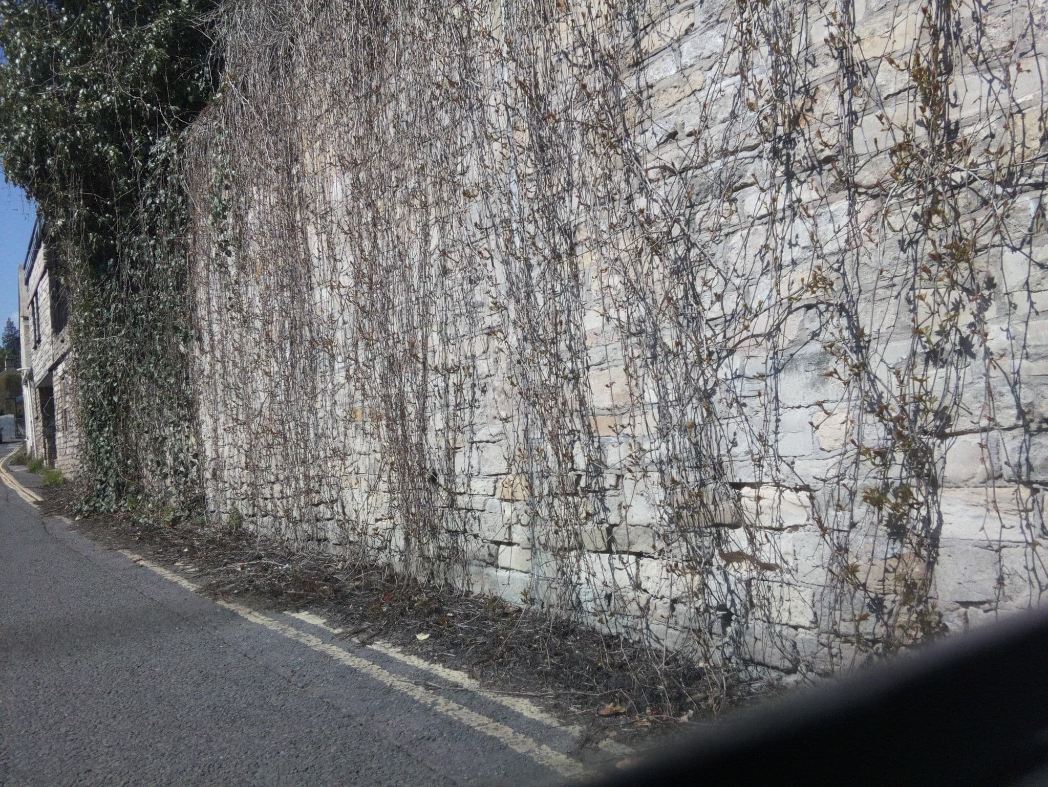 Street view near Poplar House, Bath — © southglos (CC BY-SA · Mapillary)