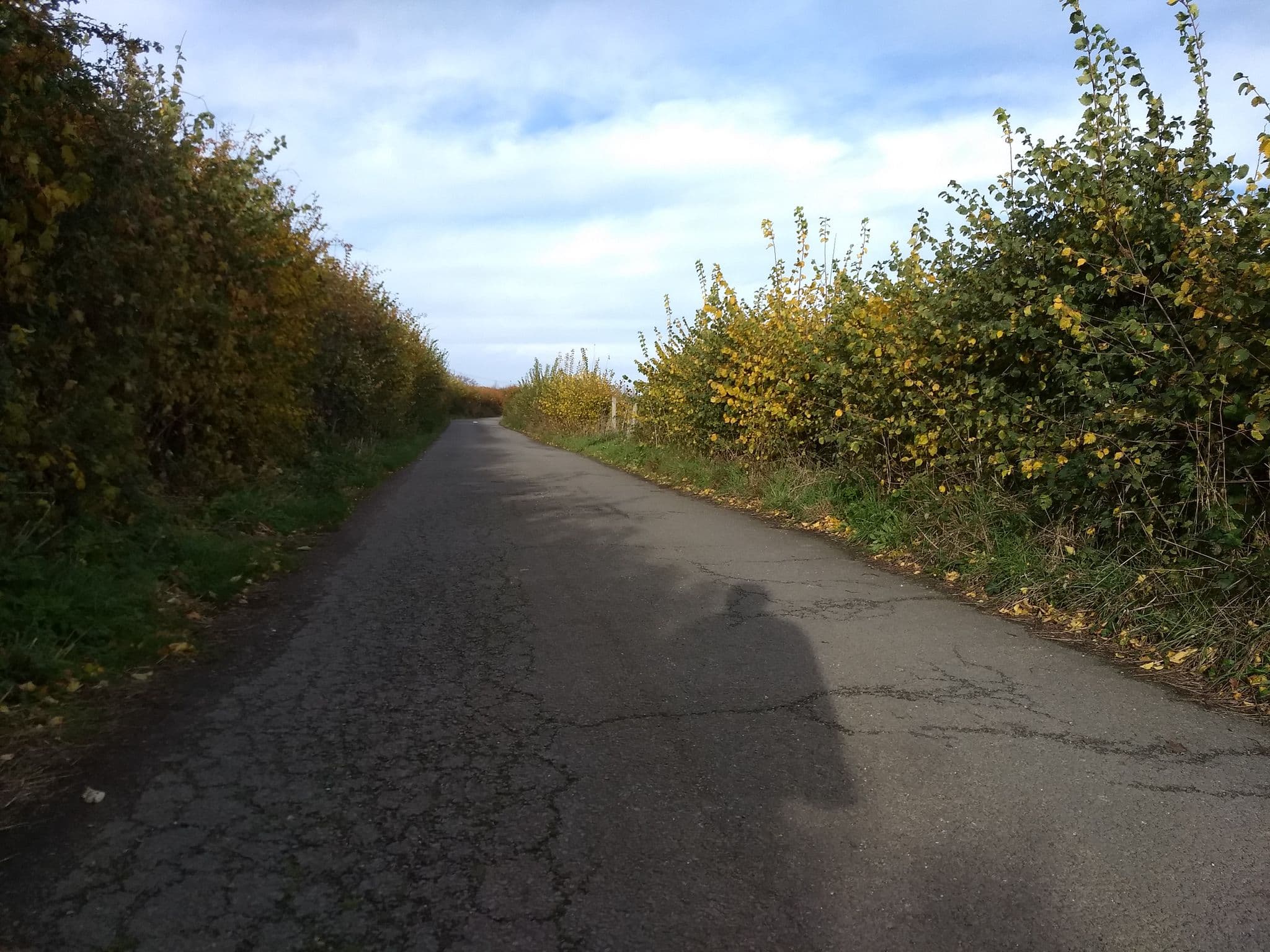 Street view near Glamping the Wight Way, Freshwater — © mappernerd (CC BY-SA · Mapillary)