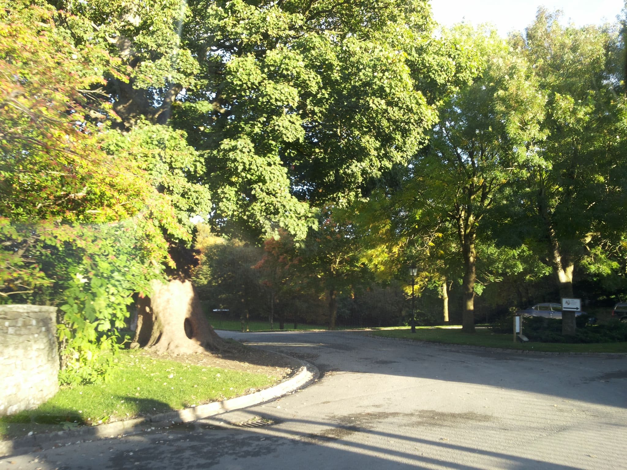 Street view near Tupgill Park Cottages, Leyburn — © endszbrxns (CC BY-SA · Mapillary)