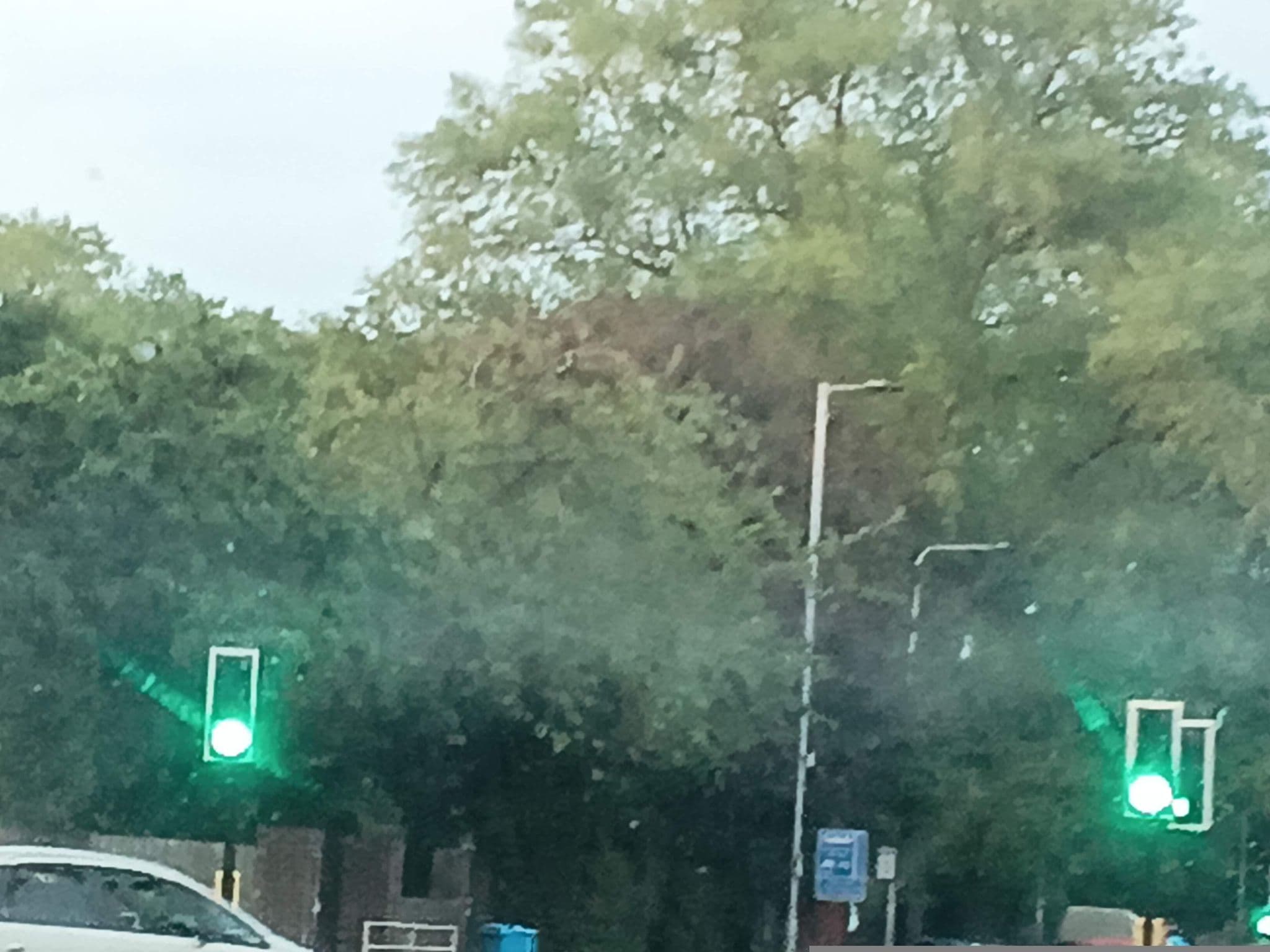 Street view near Parks Nest 3, Kingston upon Hull — © albertdougie15 (CC BY-SA · Mapillary)