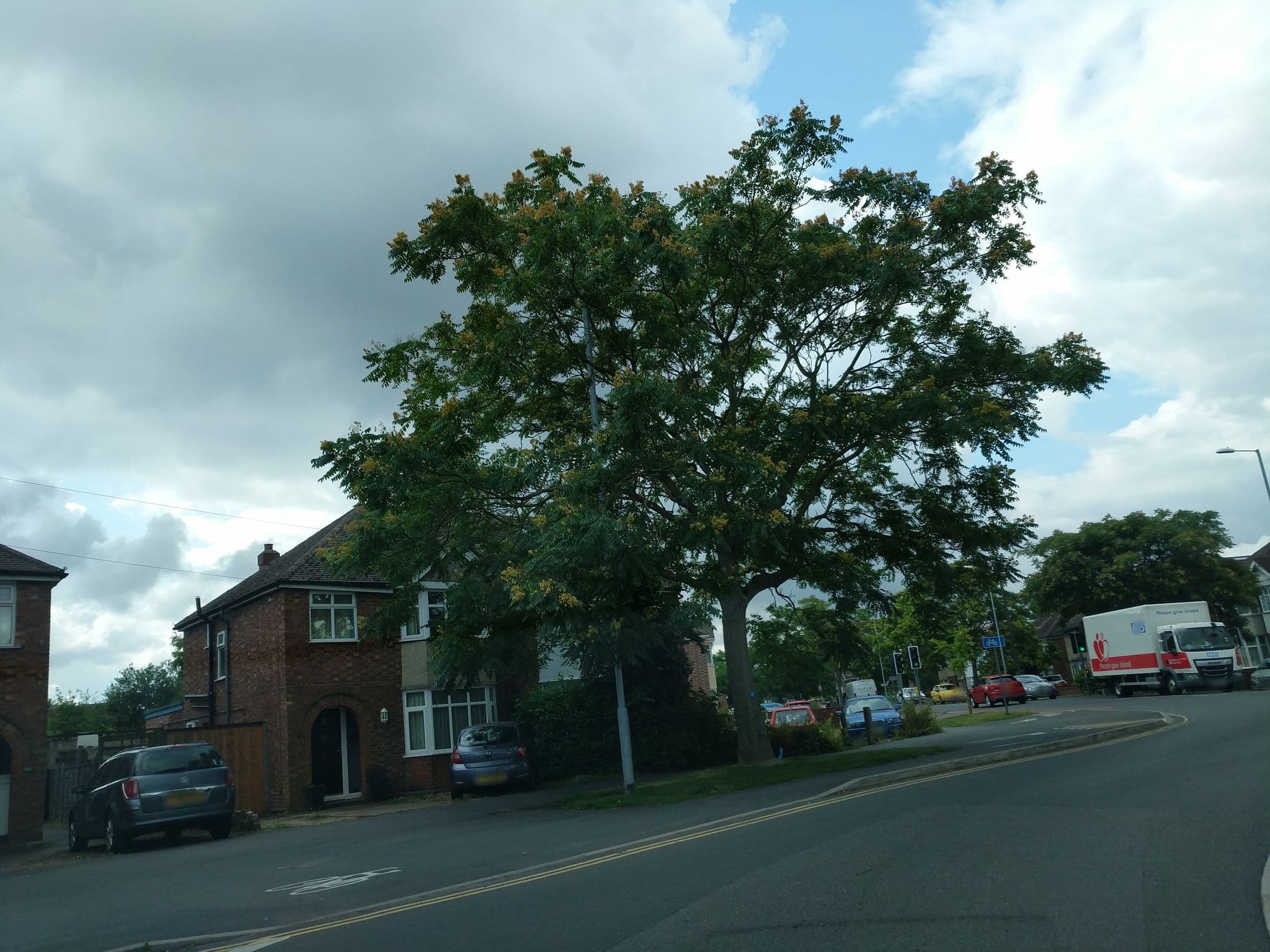 Street view near Ashtrees Guest House, Cambridge — © adam2 (CC BY-SA · Mapillary)