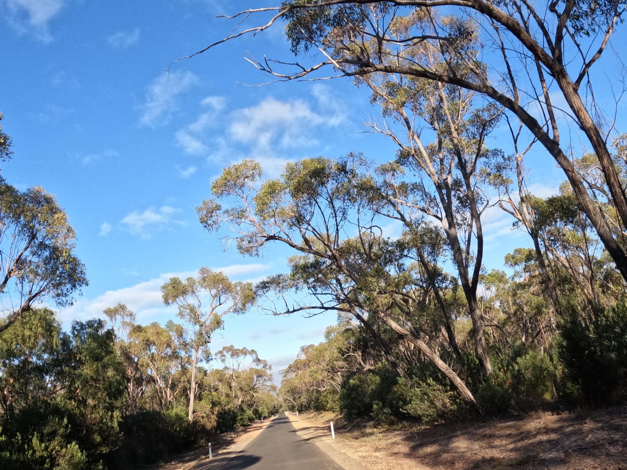 Street view near Roses Gap Recreation Centre, Stawell — © skillsy (CC BY-SA · Mapillary)