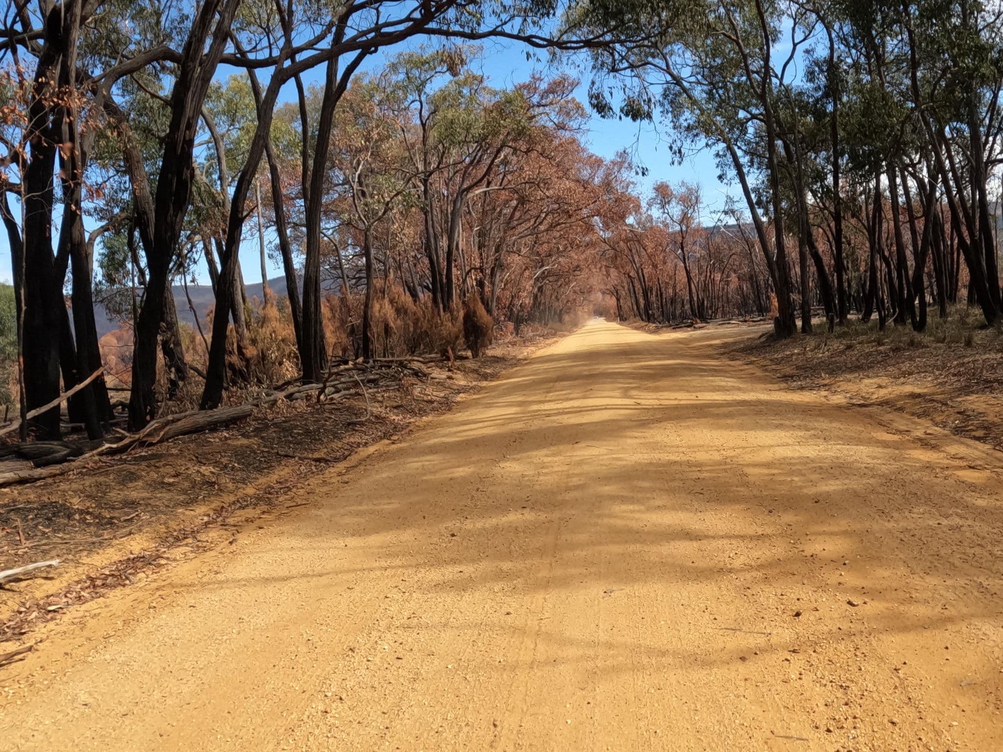 Street view near Aurora Manor Rooms, Stawell — © skillsy (CC BY-SA · Mapillary)