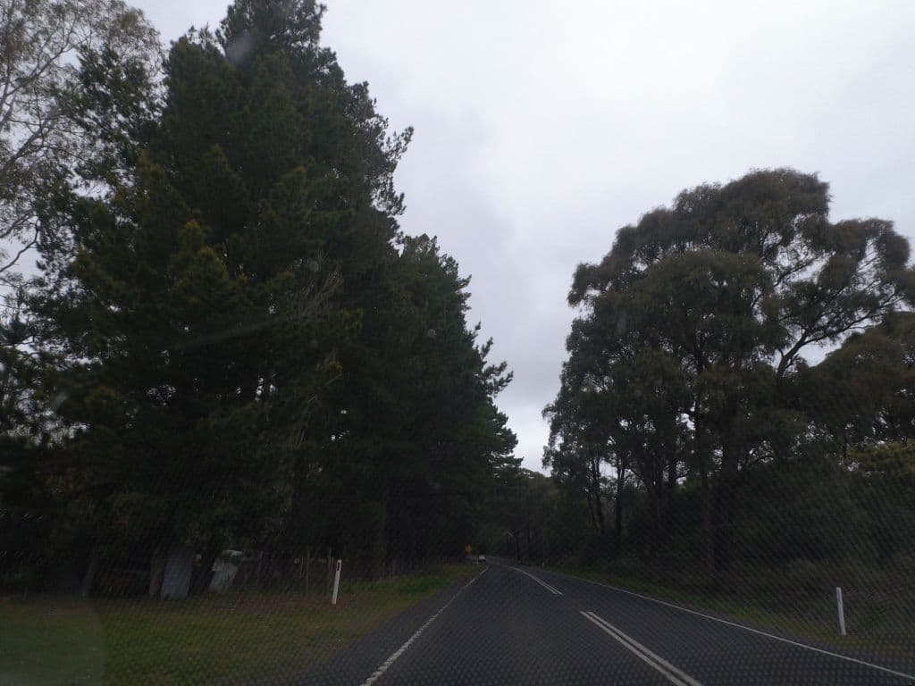 Street view near Willowbrook Cottages Daylesford, Daylesford — © mander (CC BY-SA · Mapillary)