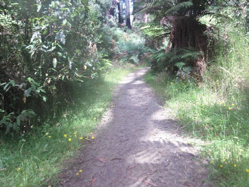 Street view near Kerami Manor, Healesville — © mander (CC BY-SA · Mapillary)