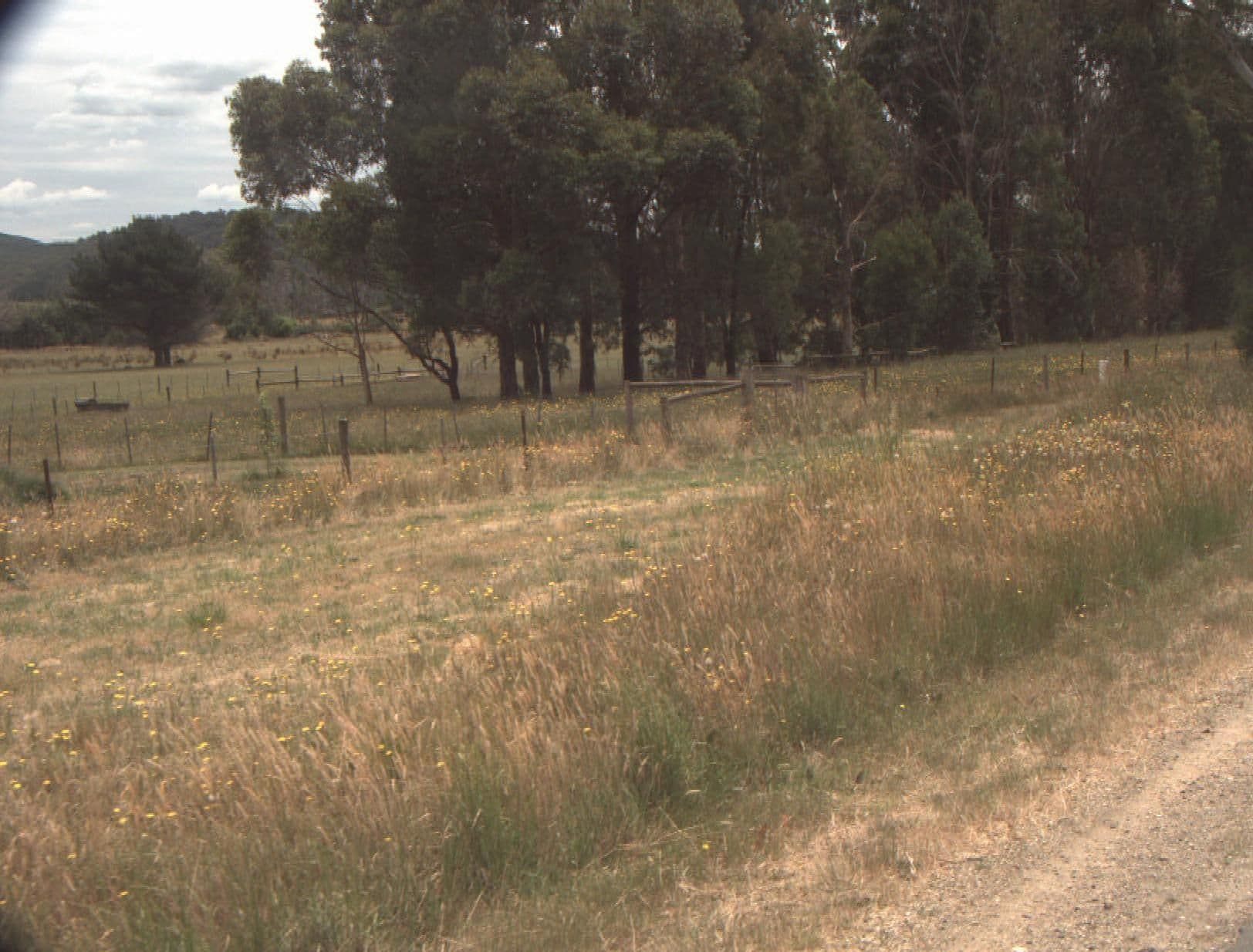 Street view near Nareen Cabins Buxton, Alexandra — © vicroads (CC BY-SA · Mapillary)