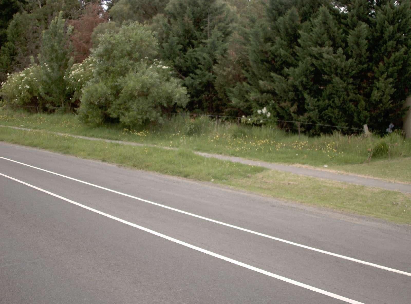 Street view near Healesville Motor Inn, Healesville — © vicroads (CC BY-SA · Mapillary)