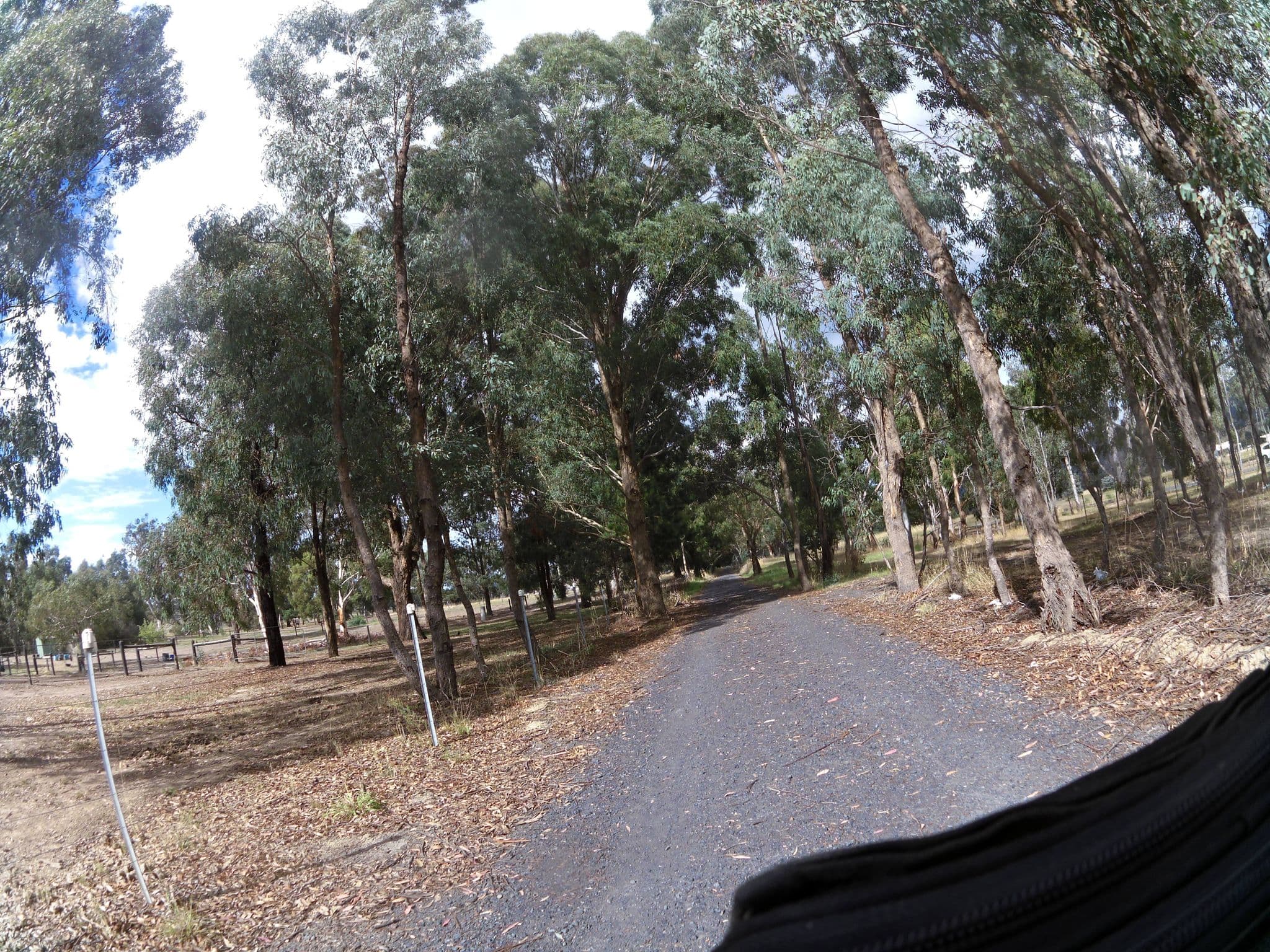 Street view near Birchwood Cottage, Alexandra — © skillsy (CC BY-SA · Mapillary)
