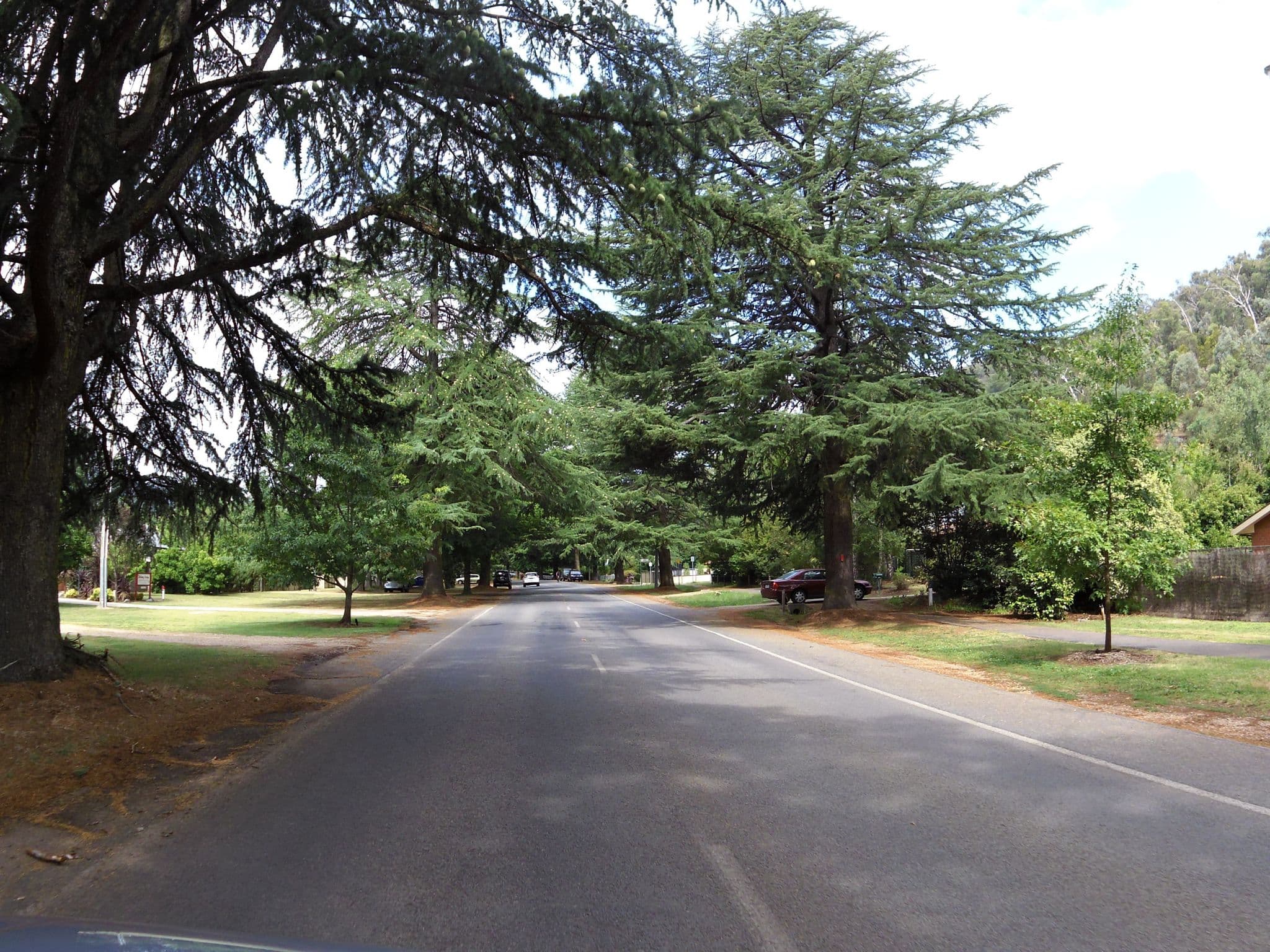 Street view near Apartments on Delany, Bright — © skillsy (CC BY-SA · Mapillary)