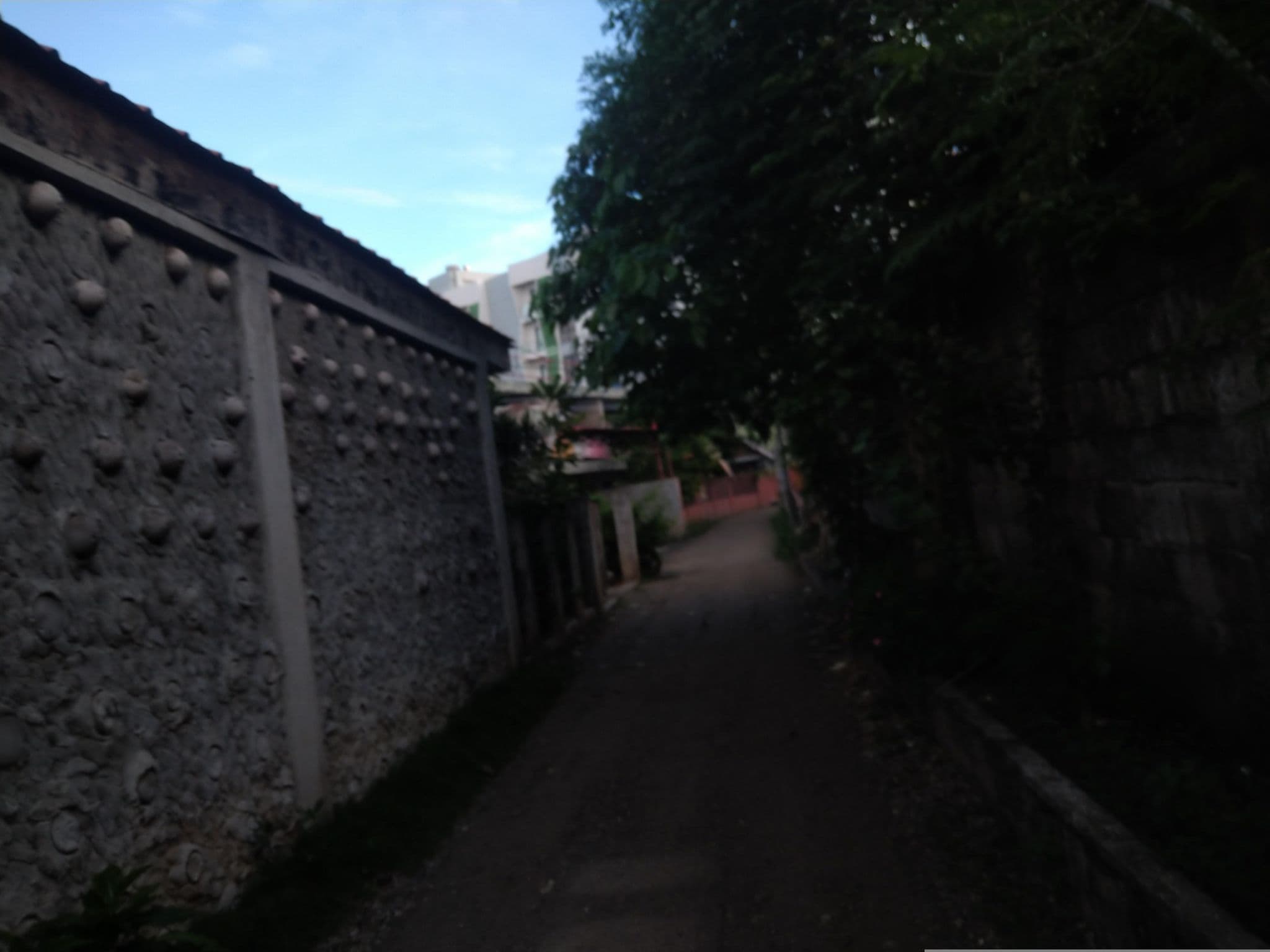 Street view near Alona Grove Resort, Tawala — © Vermut (CC BY-SA · Mapillary)