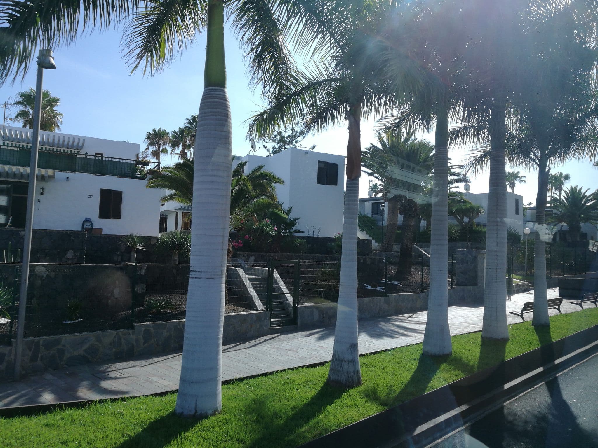Street view near Palm Beach Club, Playa de las Américas — © rsandu (CC BY-SA · Mapillary)