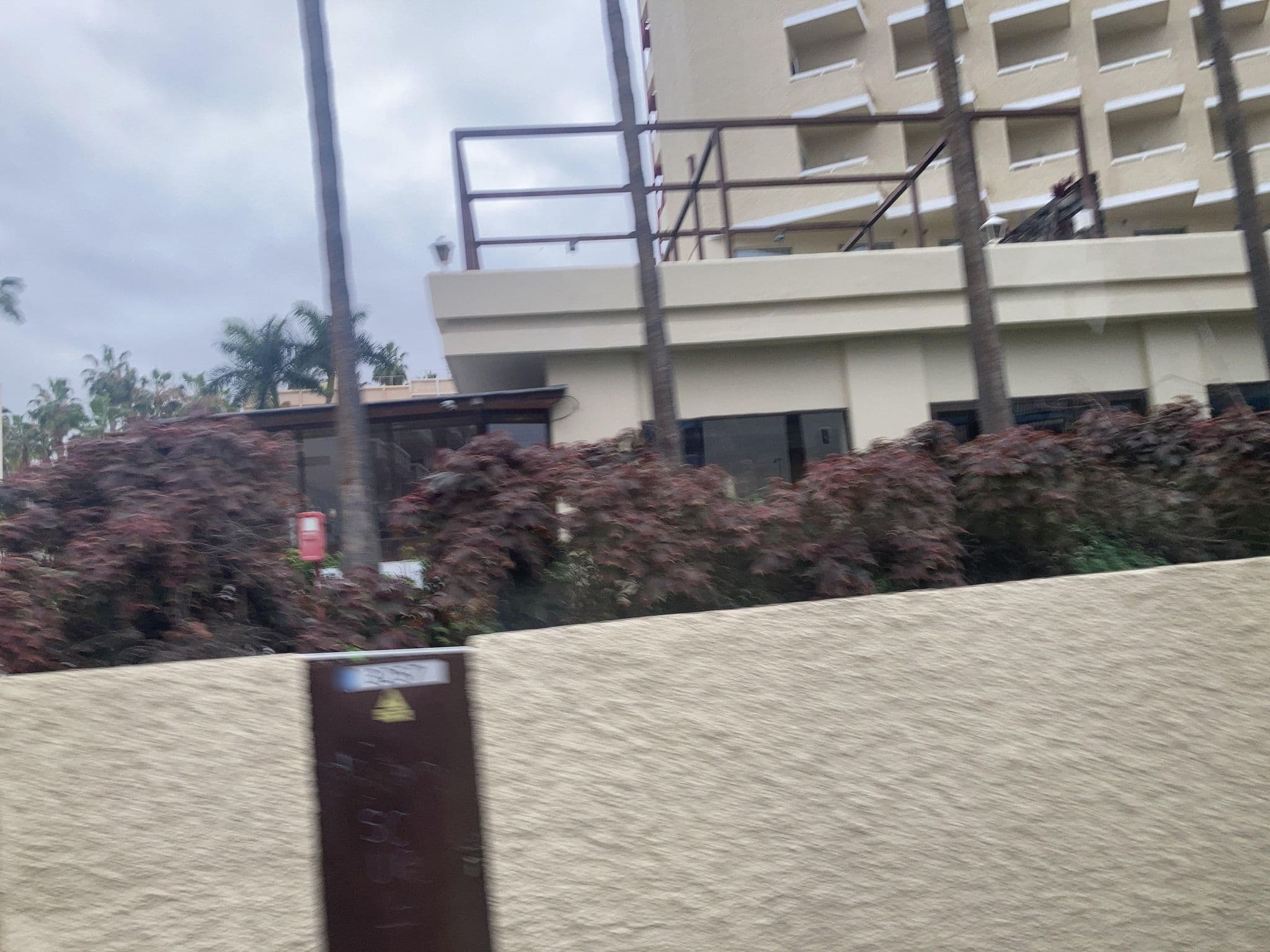 Street view near Hotel Be Live Experience Tenerife, Puerto de la Cruz — © tasmaniadevil (CC BY-SA · Mapillary)
