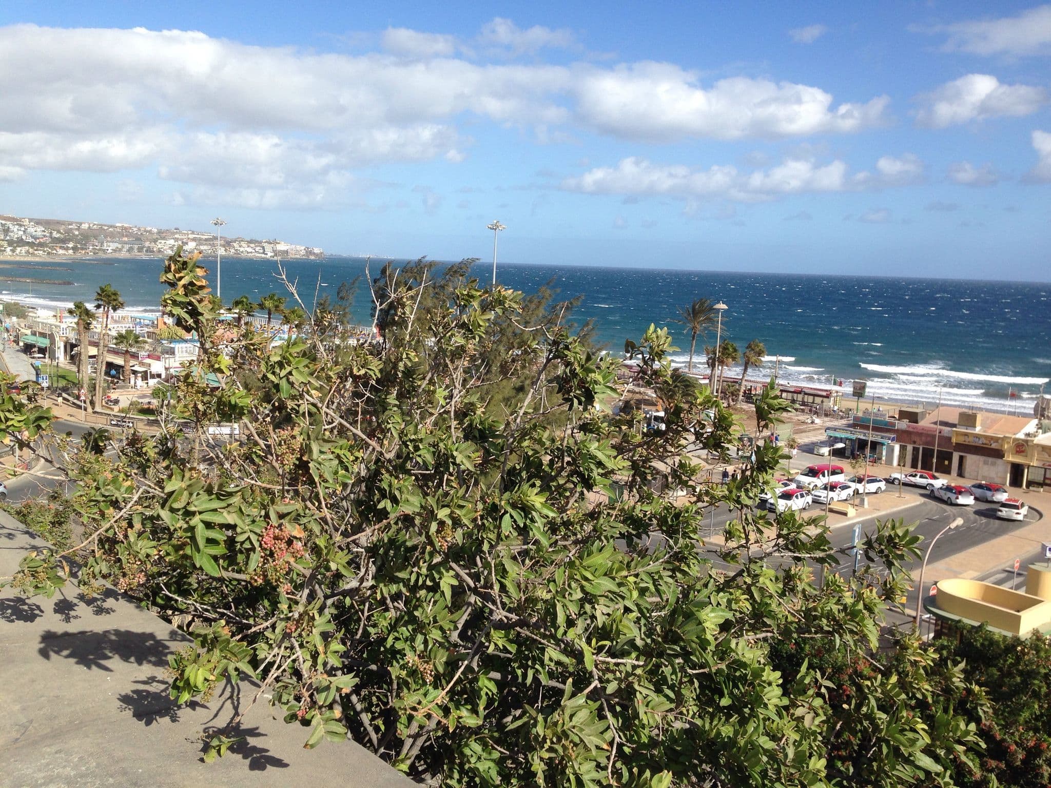 Street view near hoteles lopez Playa del Inglés, Playa del Ingles — © zors1843 (CC BY-SA · Mapillary)