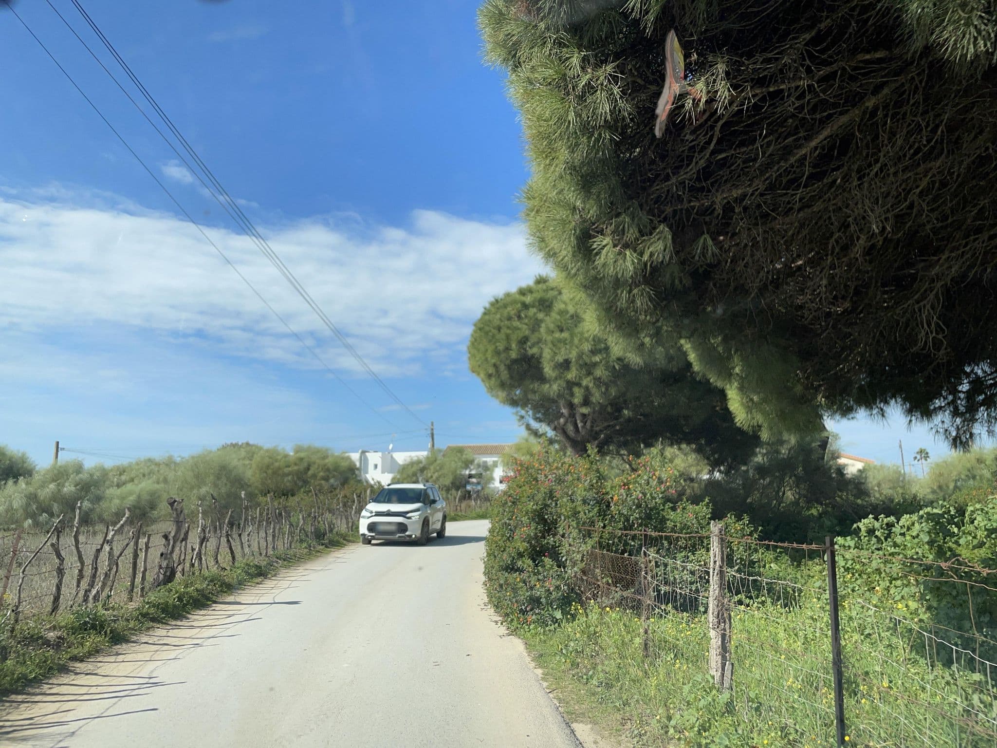 Street view near Equinsoul, Vejer de la Frontera — © seraq (CC BY-SA · Mapillary)