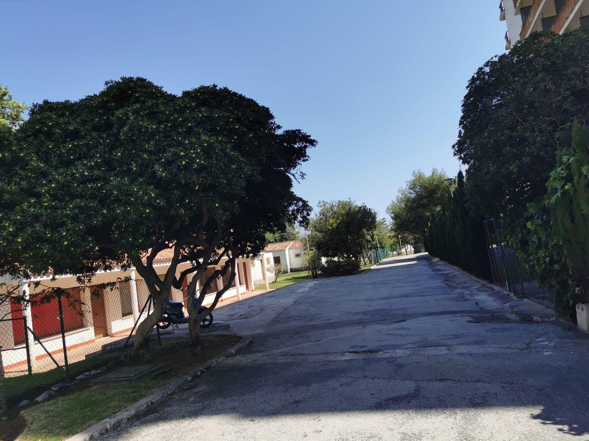 Street view near Costalita, San Pedro Alcántara — © soulcover (CC BY-SA · Mapillary)