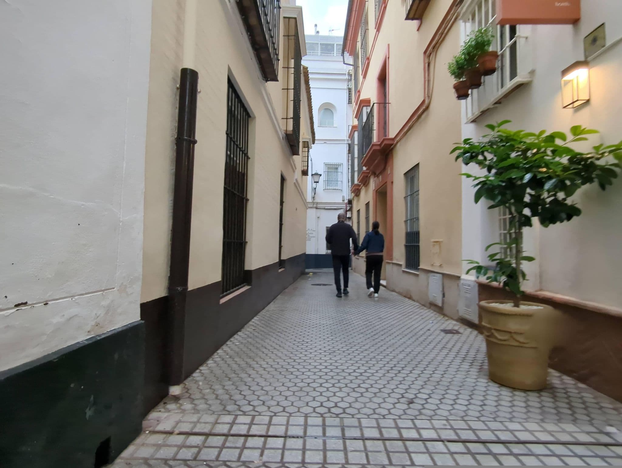Street view near YH Giralda, Sevilla — © miguel_andrade (CC BY-SA · Mapillary)