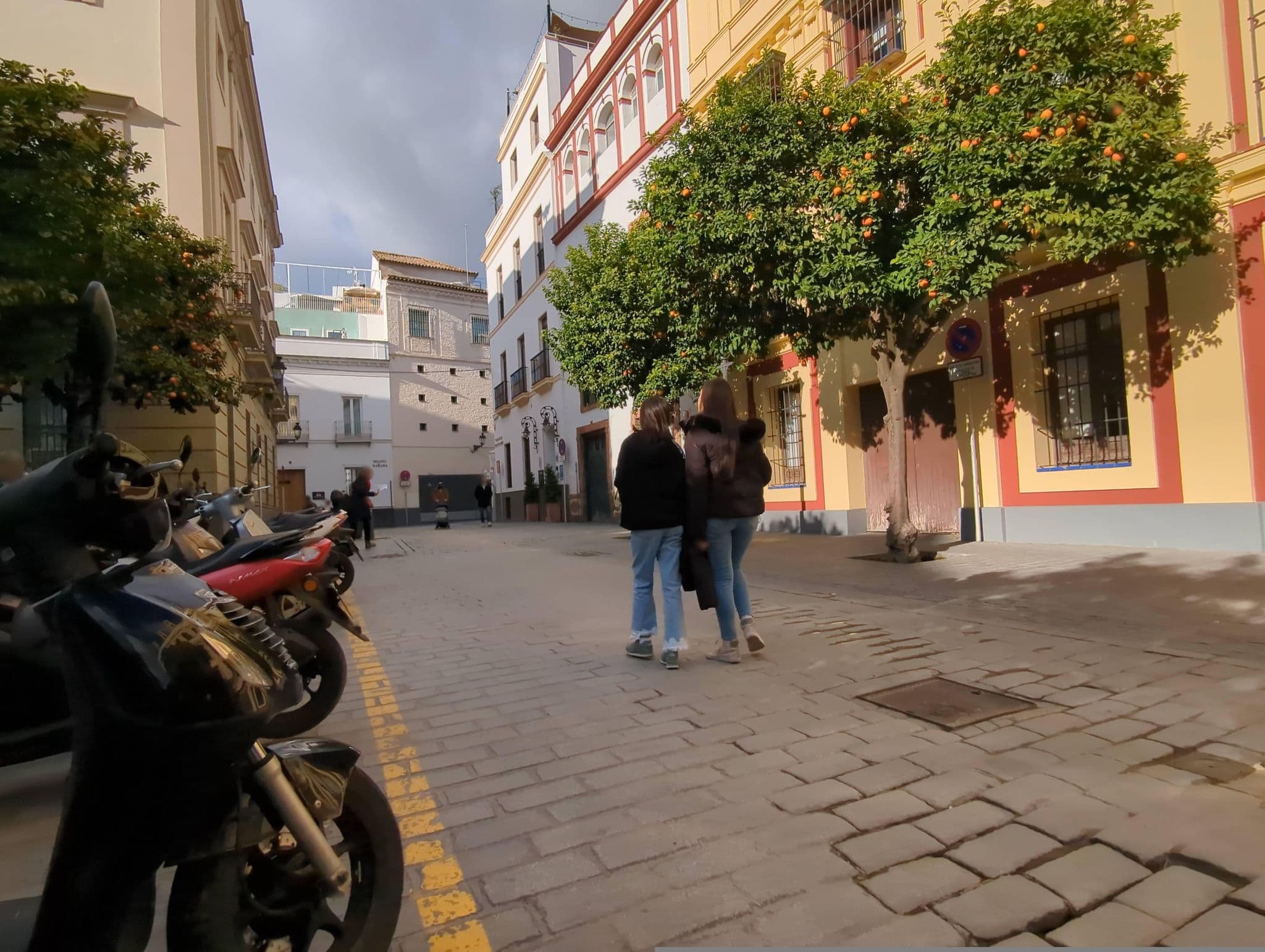 Street view near La Puerta de Palacio, Sevilla — © miguel_andrade (CC BY-SA · Mapillary)