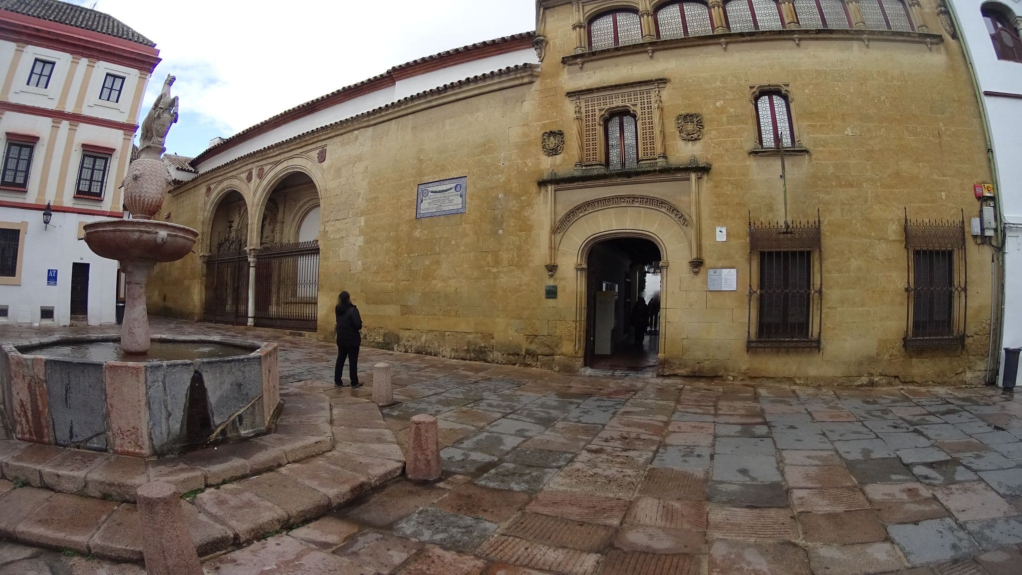 Street view near Pensión Los Arcos, Córdoba — © robertogeb (CC BY-SA · Mapillary)