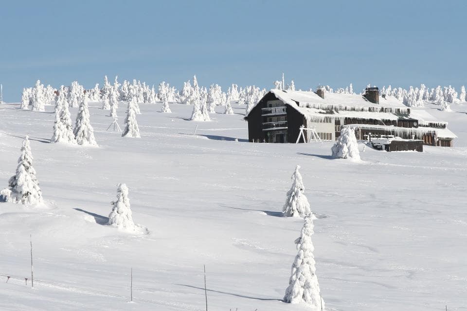Dvorská bouda (via Wikimedia Commons, CC BY-SA 3.0)
