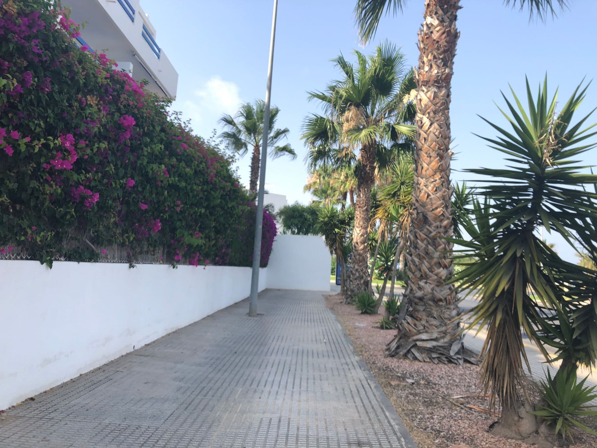 Street view near Las Terrazas Apartment Ref 417, Torrevieja — © ascannell22 (CC BY-SA · Mapillary)