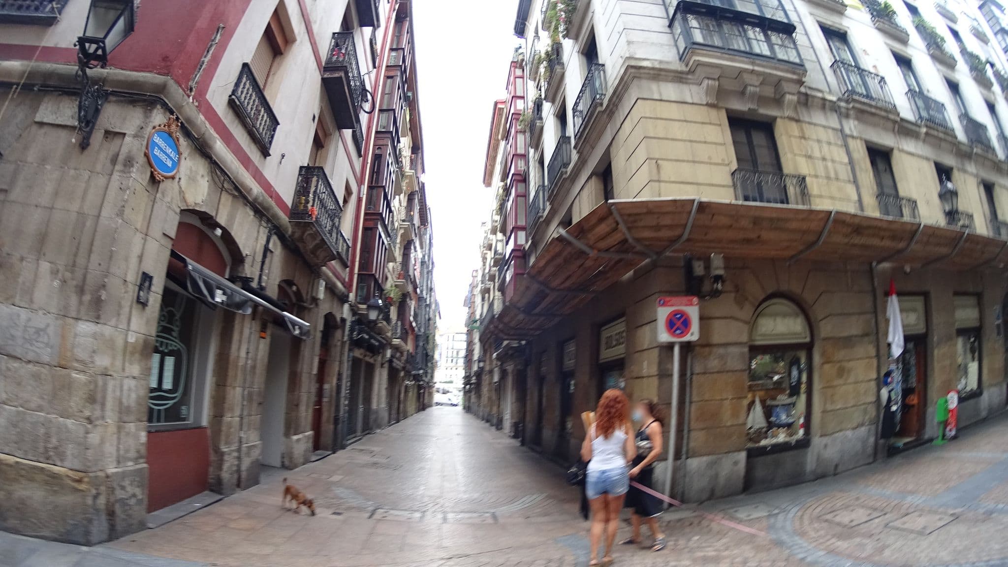 Street view near Hostal Mendez II, Bilbao — © robertogeb (CC BY-SA · Mapillary)