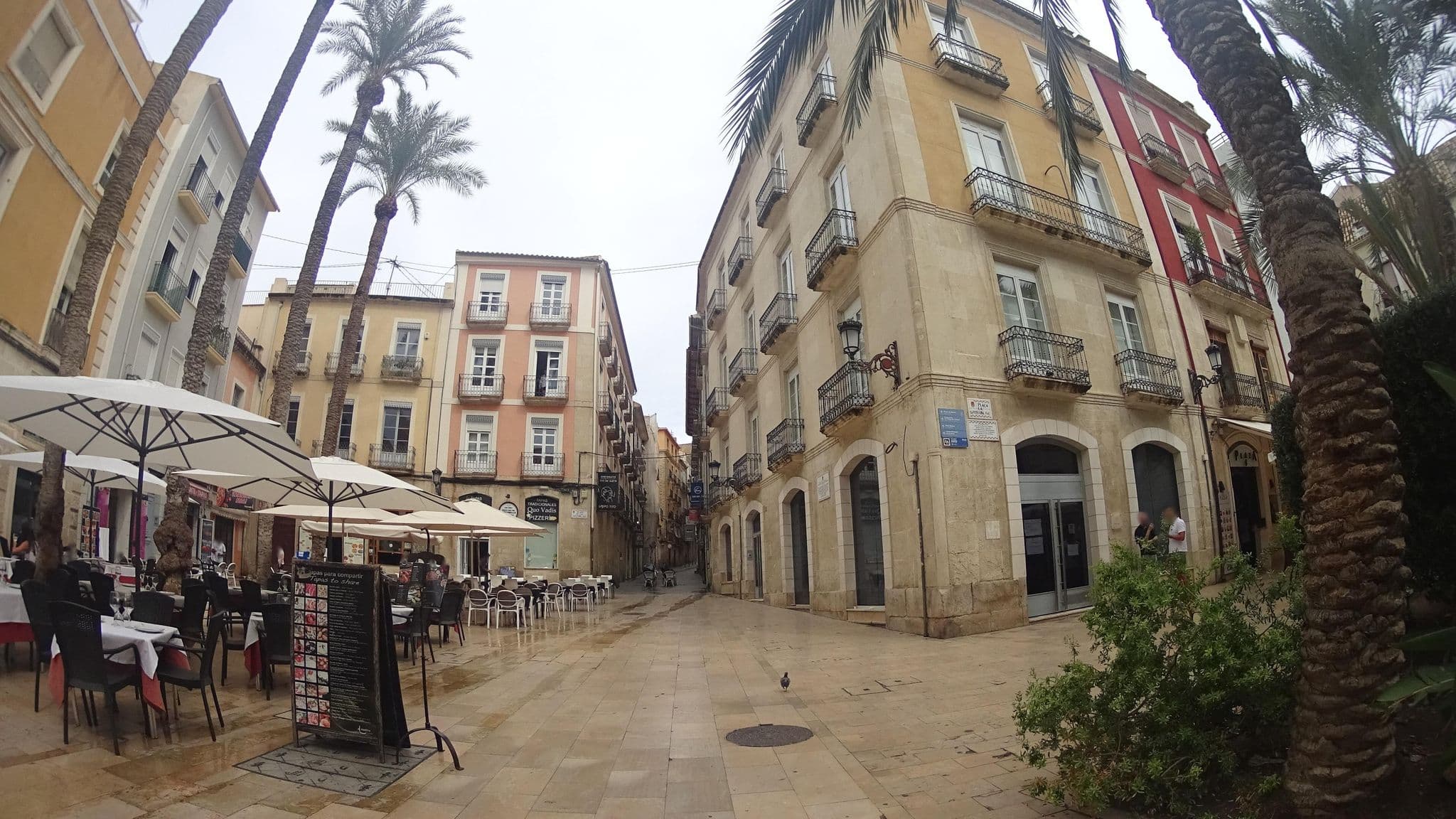 Street view near Apartamentos Tito, Alicante — © robertogeb (CC BY-SA · Mapillary)