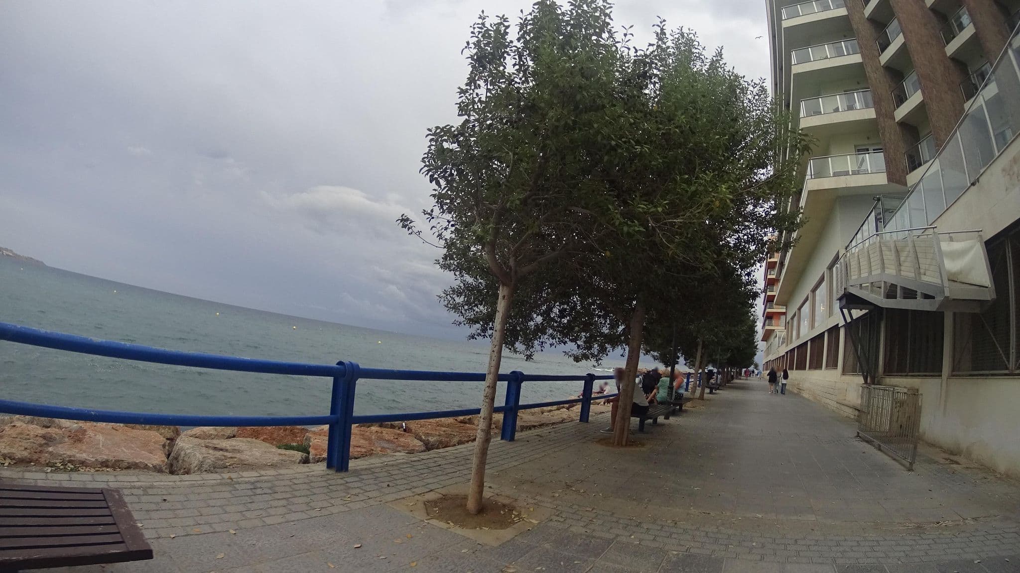 Street view near Hotel Meliá Alicante, Alicante — © robertogeb (CC BY-SA · Mapillary)