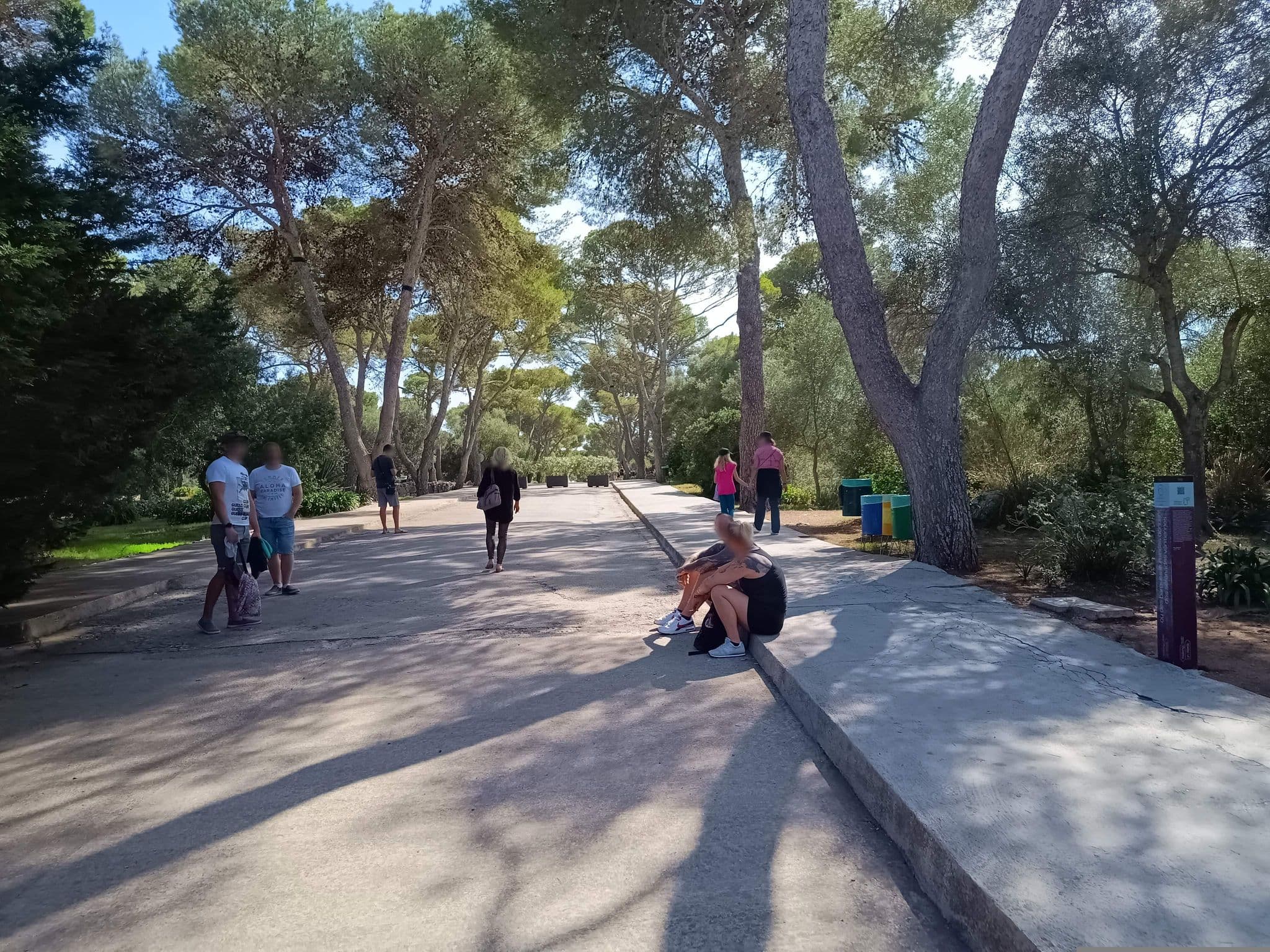 Street view near Drach, Porto Cristo — © zuse (CC BY-SA · Mapillary)