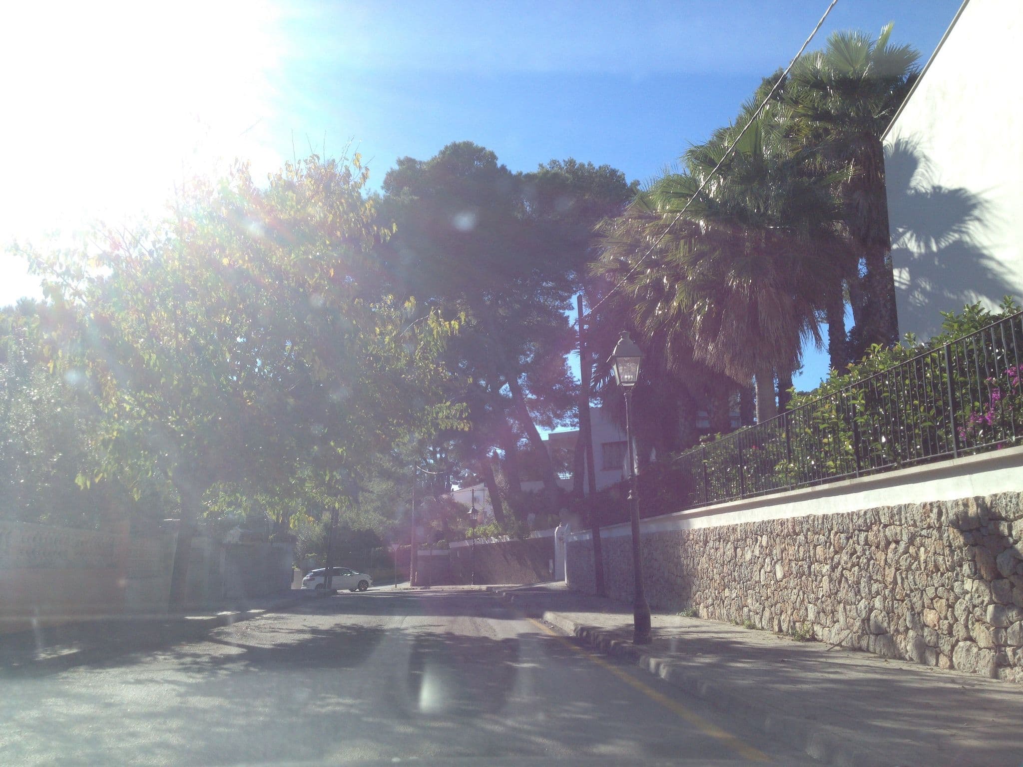 Street view near Apartamentos Pinos Altos, Port de Pollença — © elgaard (CC BY-SA · Mapillary)