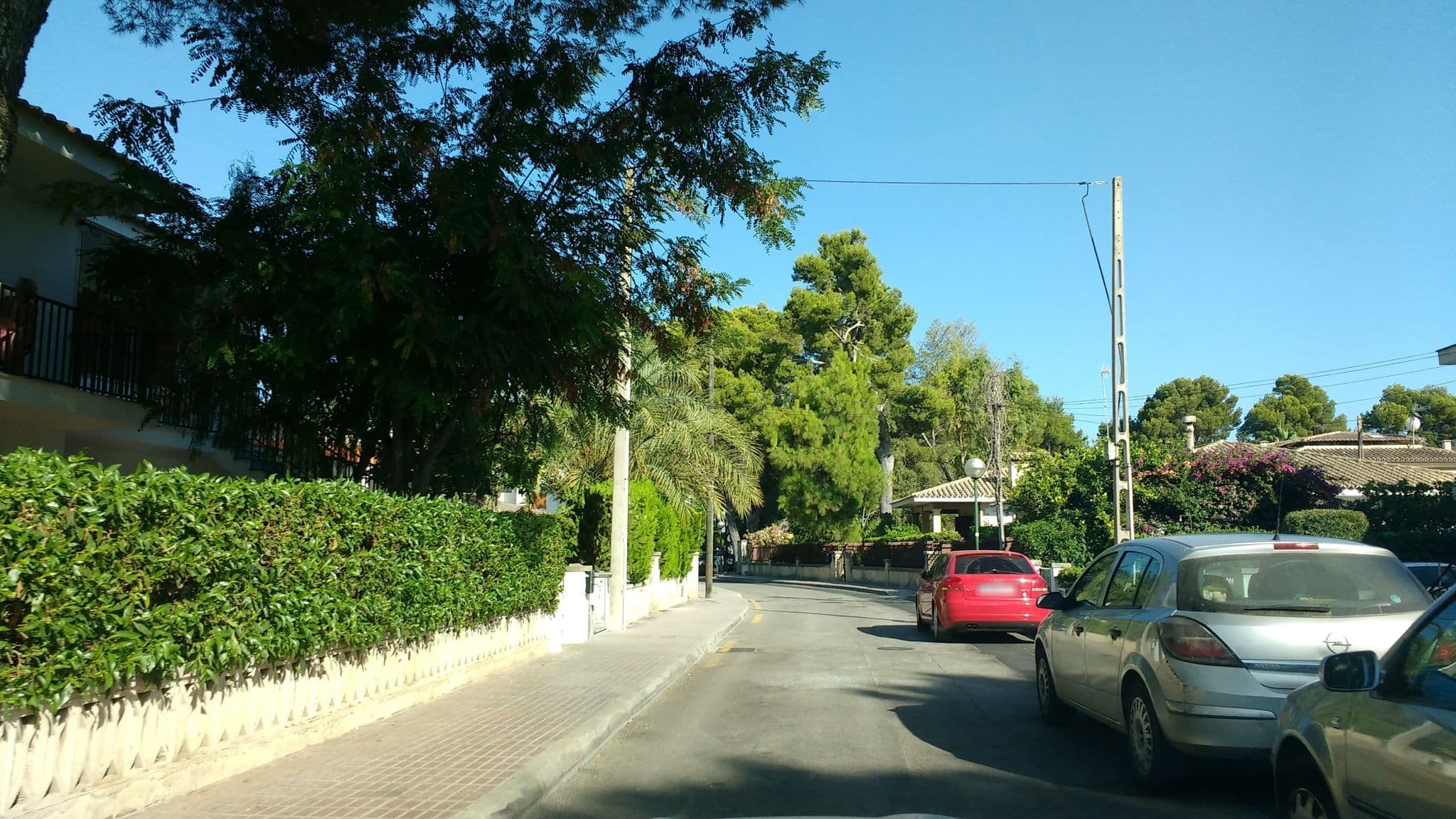 Street view near Diana, Platja d'Alcúdia — © thetornado76 (CC BY-SA · Mapillary)