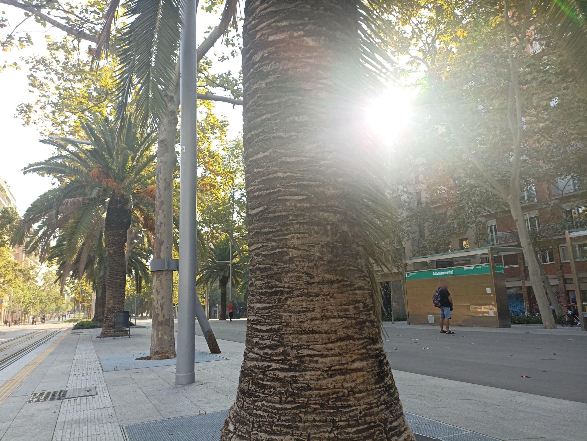 Street view near Diagonalflats- Diagonal, Sagrada Família — © toniserra (CC BY-SA · Mapillary)