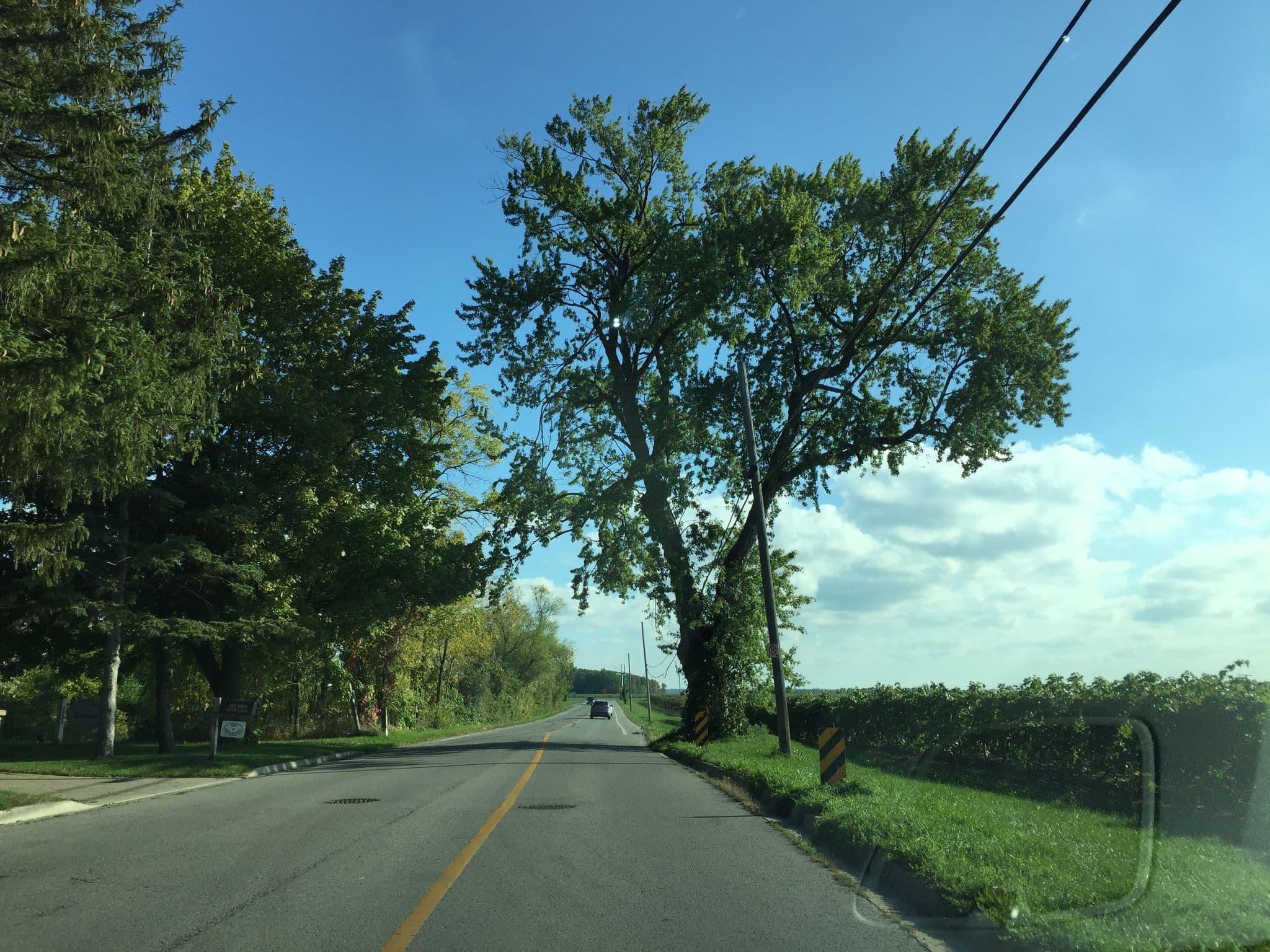 Street view near Old Town Country Landing, Niagara-on-the-Lake — © whatchamappin (CC BY-SA · Mapillary)