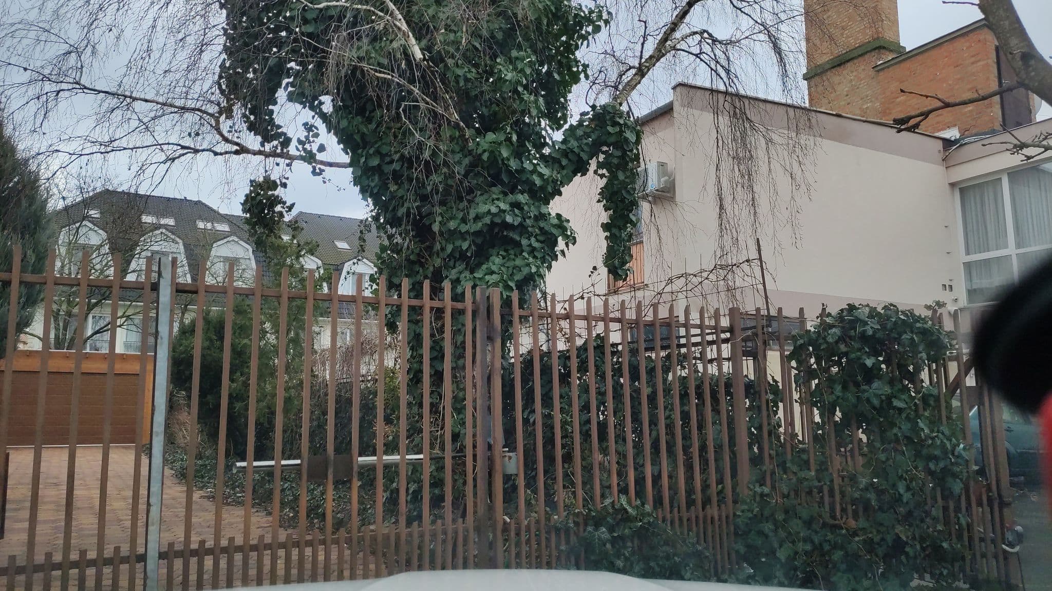 Street view near Forrás Panzió, Hajdúszoboszló — © grin (CC BY-SA · Mapillary)