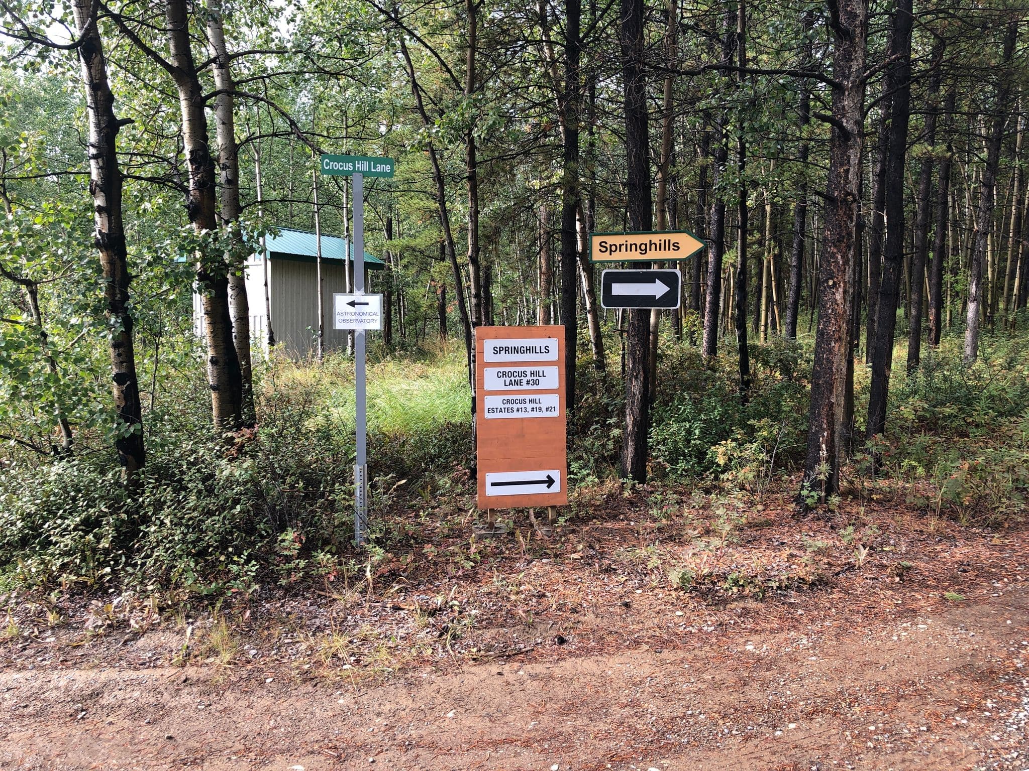 Street view near Hot Springs Campground & Hostel, Whitehorse — © plan_c (CC BY-SA · Mapillary)