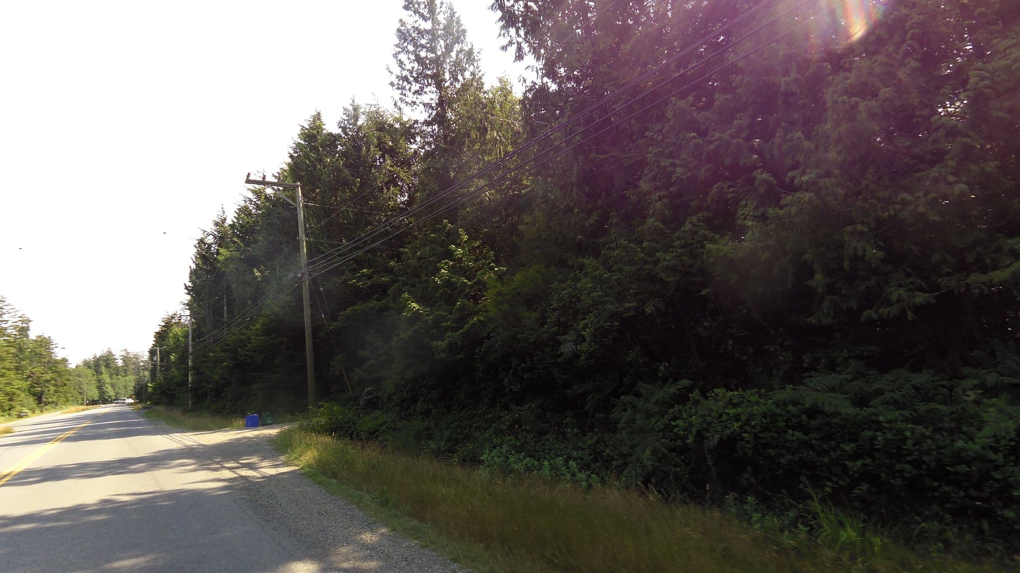 Street view near Emerald Forest Bed & Breakfast, Tofino — © rps333 (CC BY-SA · Mapillary)